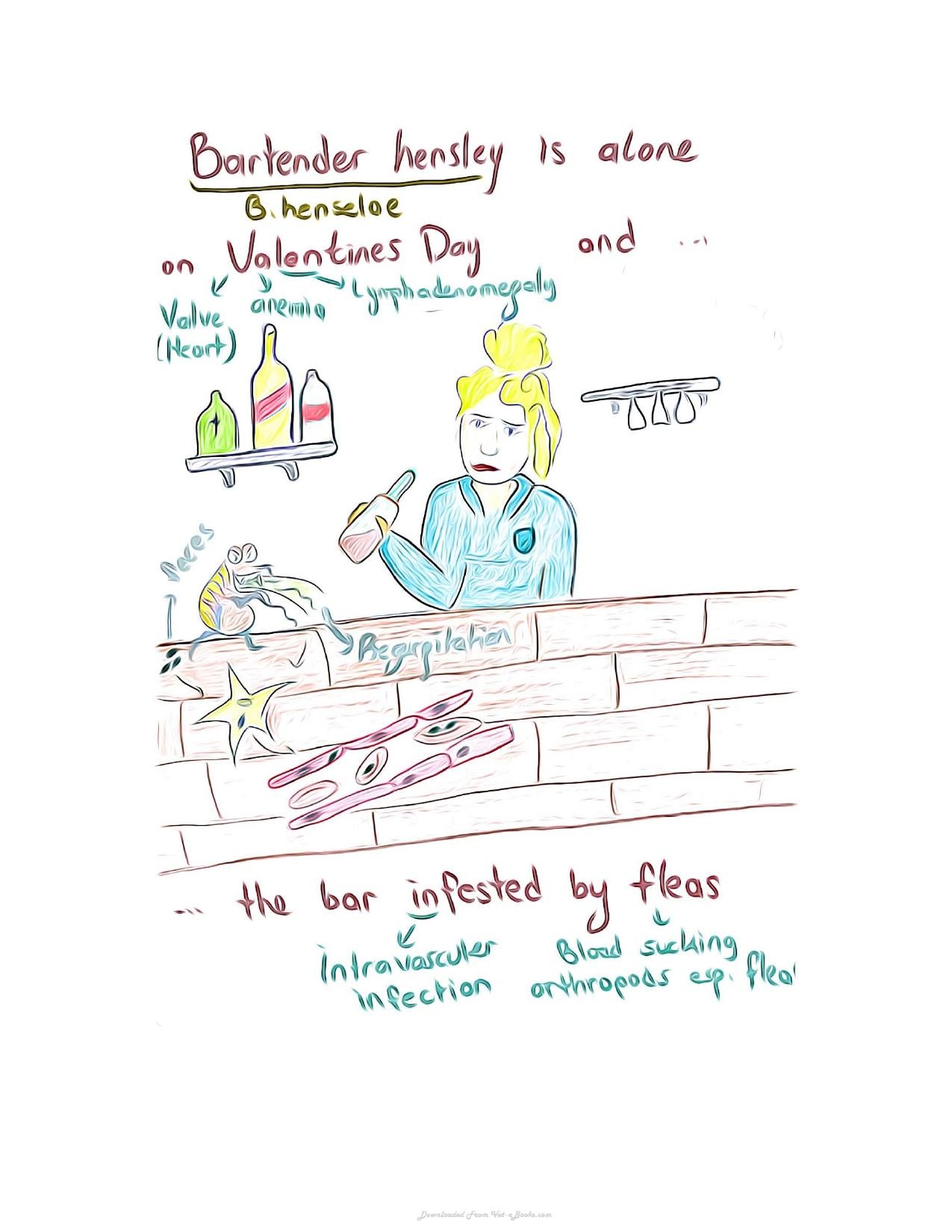 Small Animal Infectious Diseases Mnemonic Cartoons