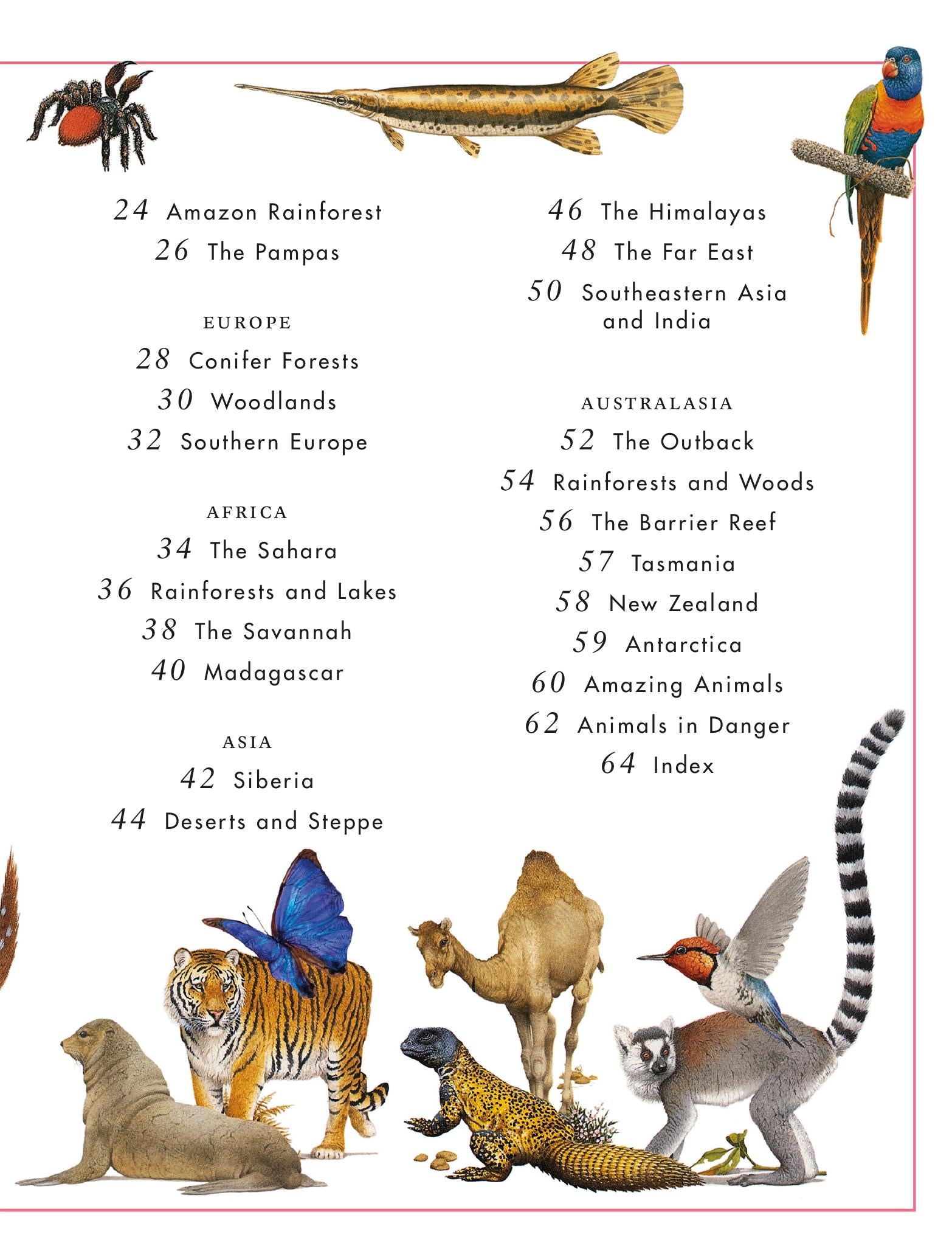 Look inside — page 4