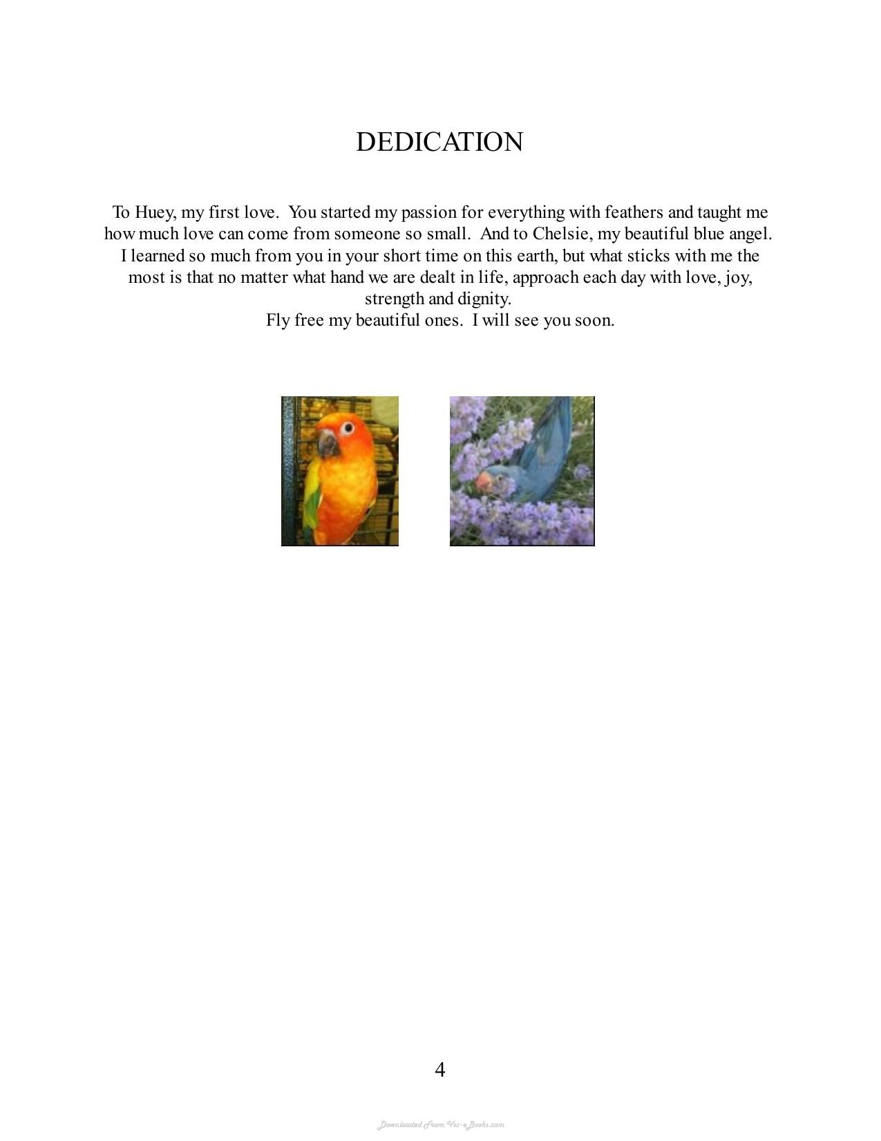 Look inside — page 4