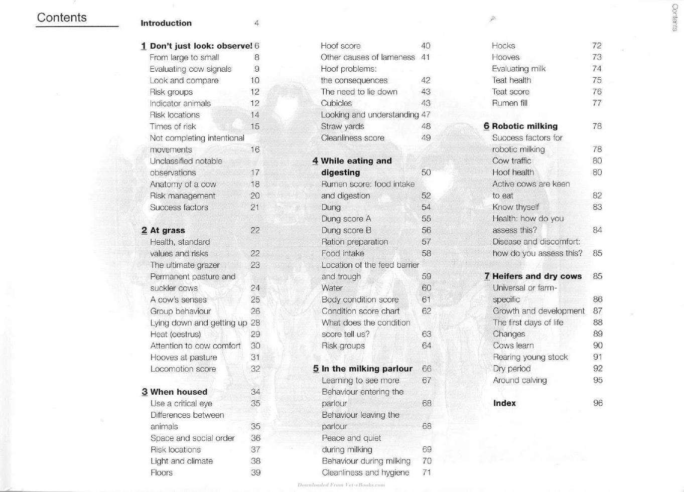 Cow Signals A Practical Guide For Dairy Farm Management