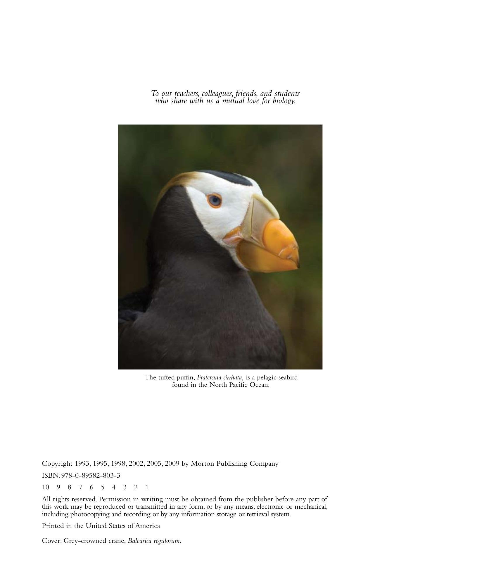 Look inside — page 4