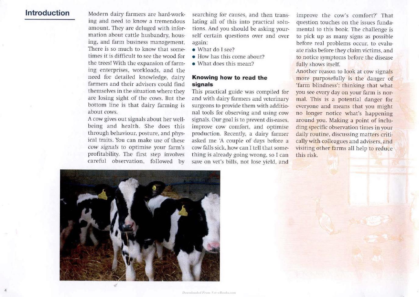 Cow Signals A Practical Guide For Dairy Farm Management