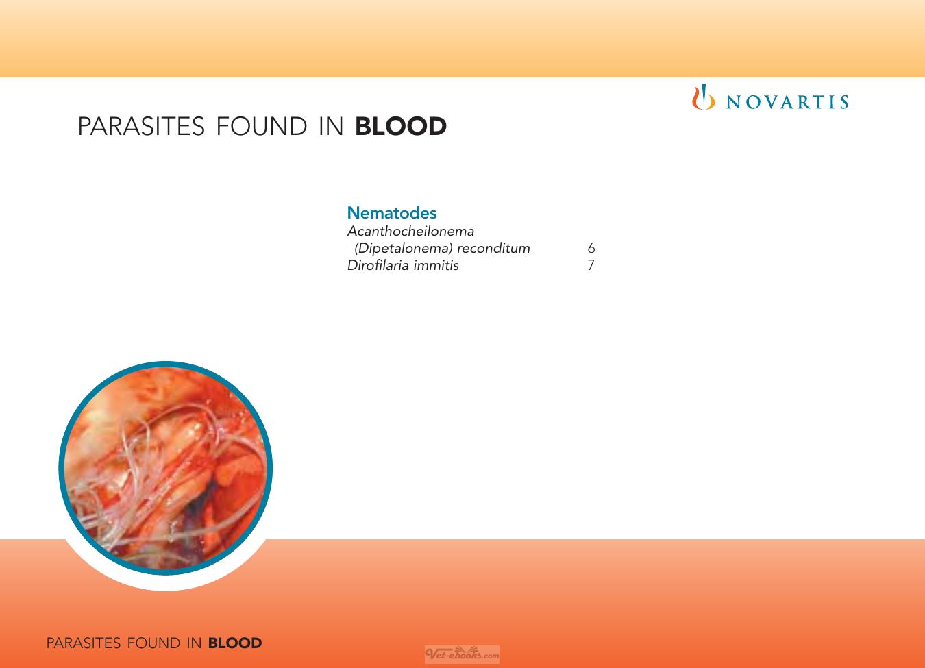 Internal Parasites Of Dogs And Cats Diagnostic Manual
