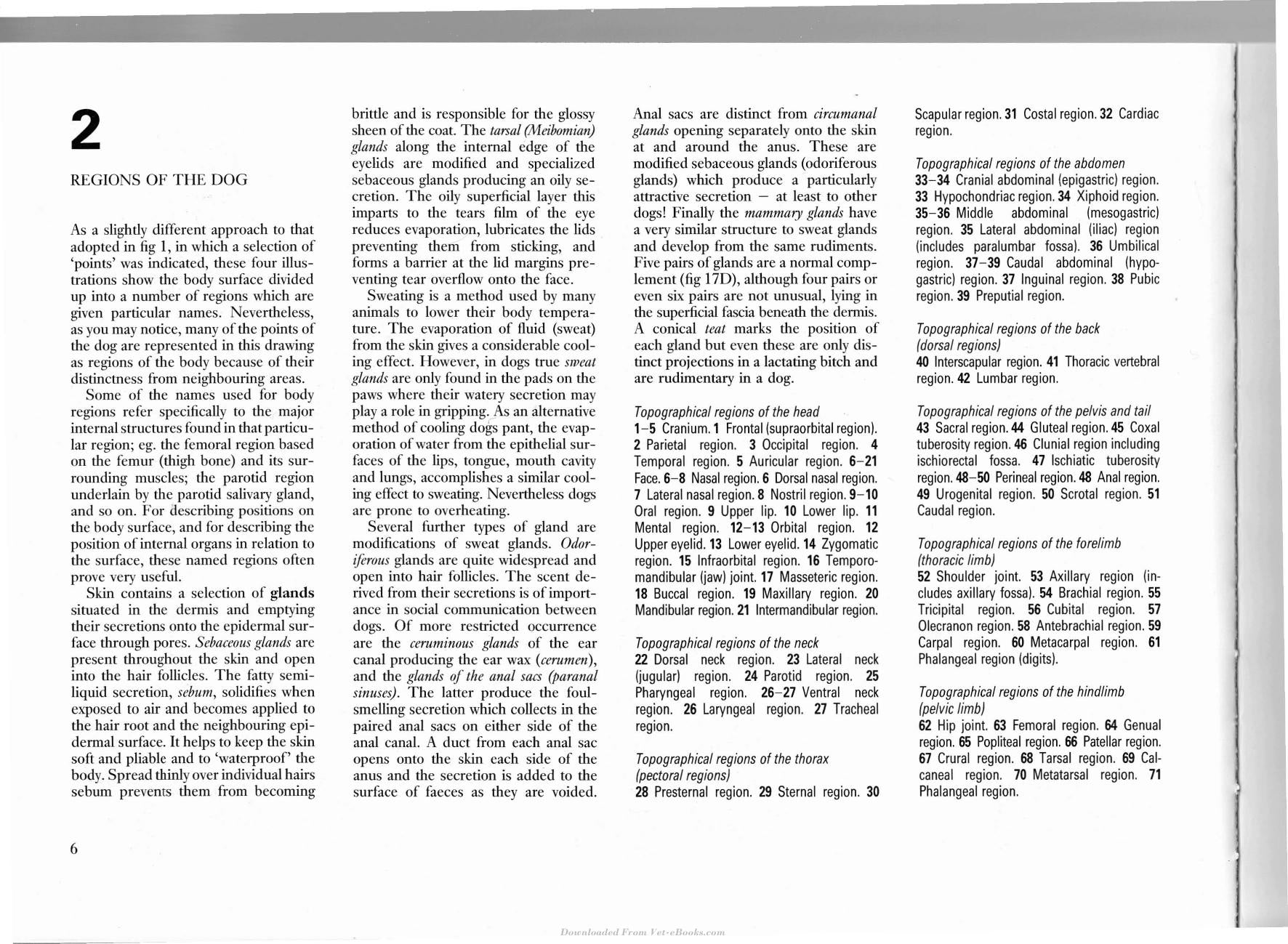 Look inside — page 5