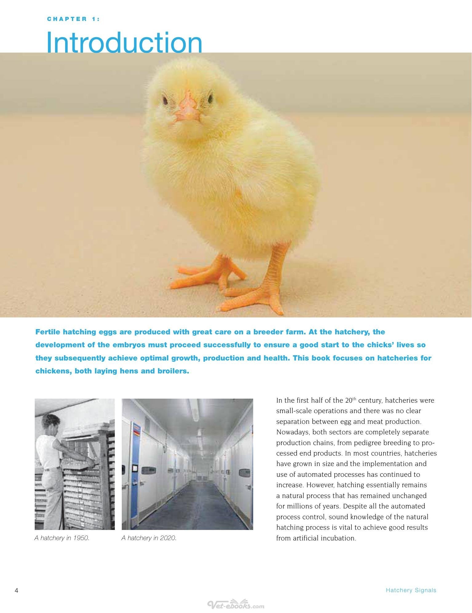 Look inside — page 6