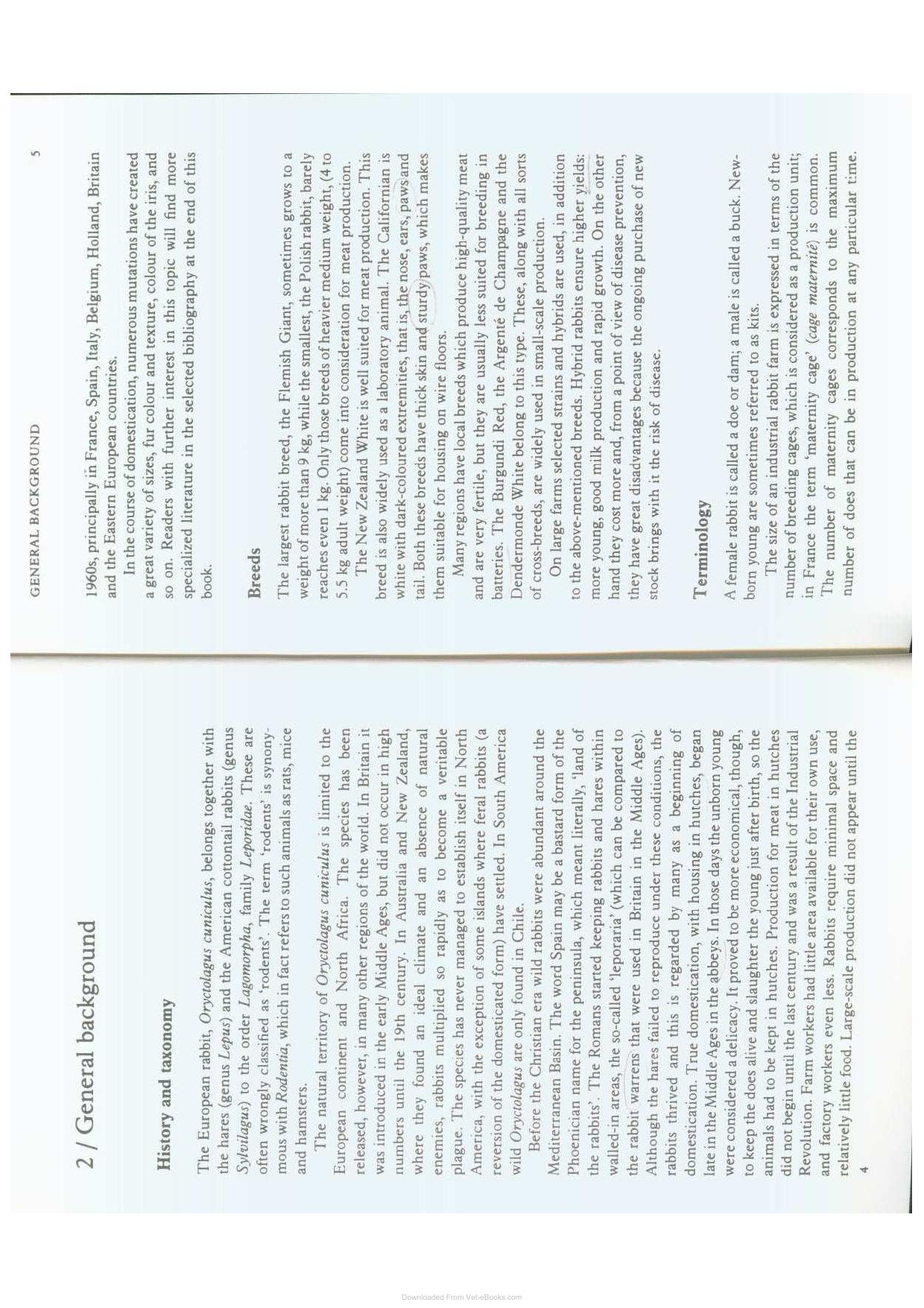 Diseases Of Domestic Rabbits