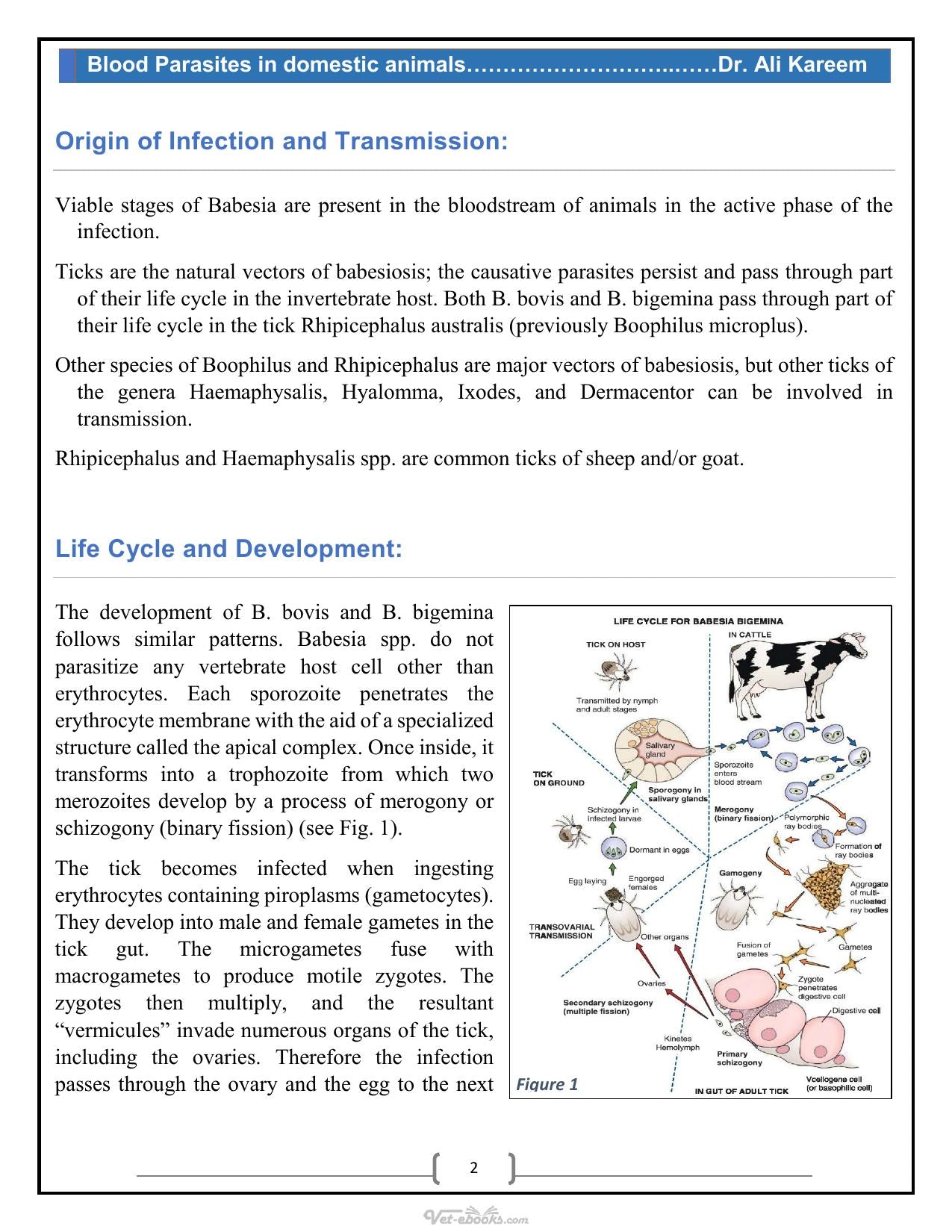 Blood Parasites In Domestic Animals