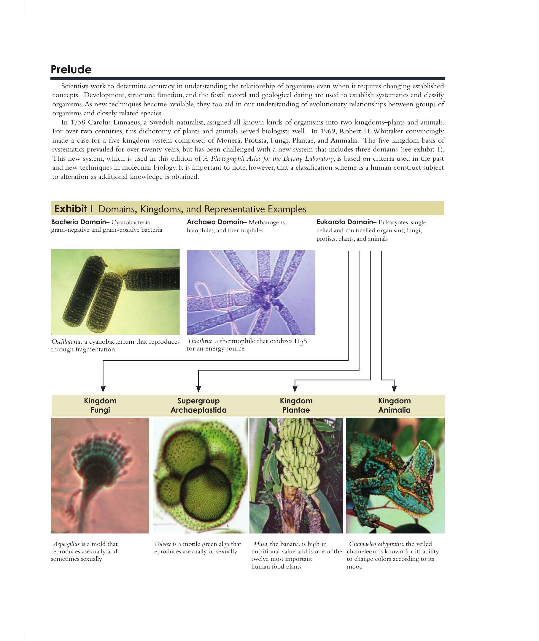 Look inside — page 6