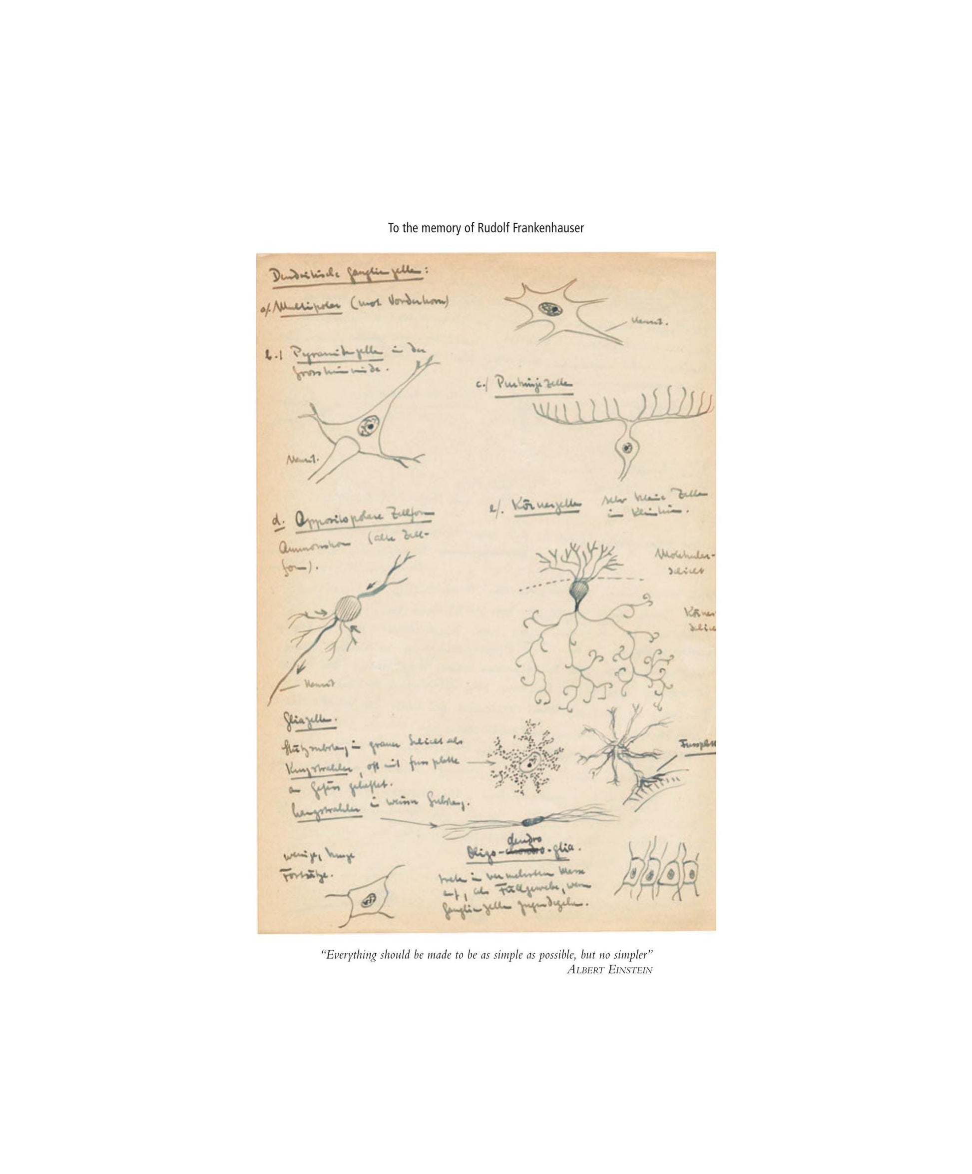 Look inside — page 6