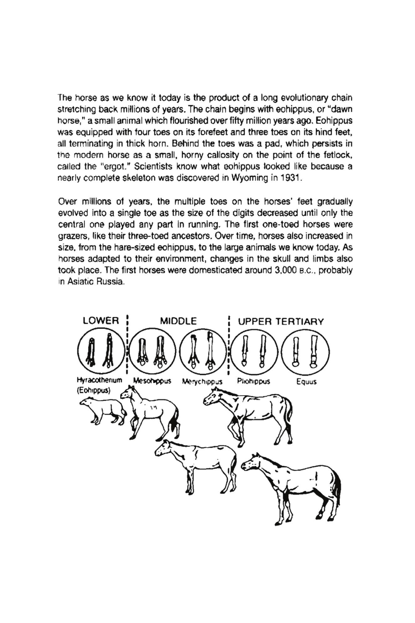 Look inside — page 6