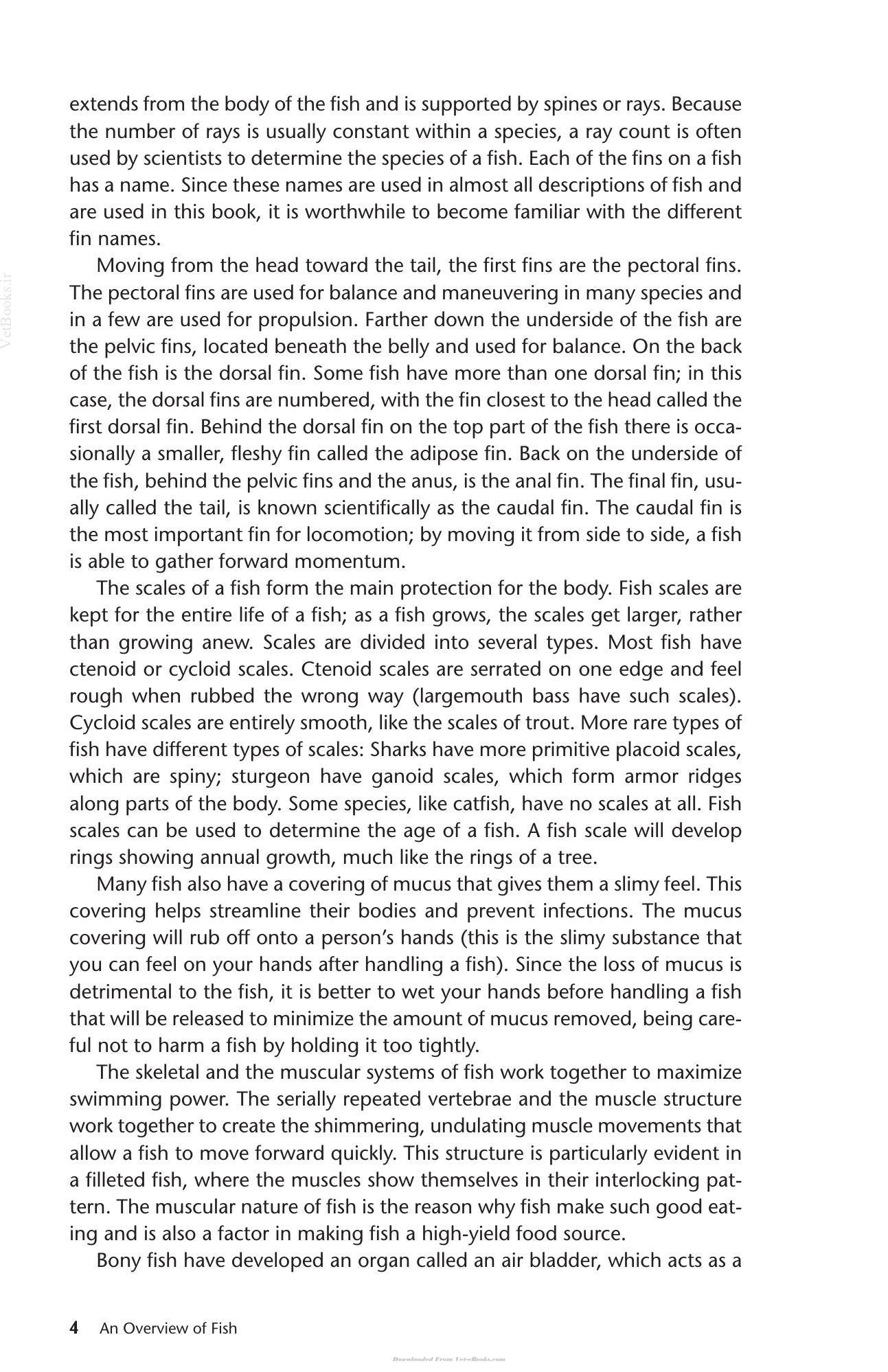 Look inside — page 6