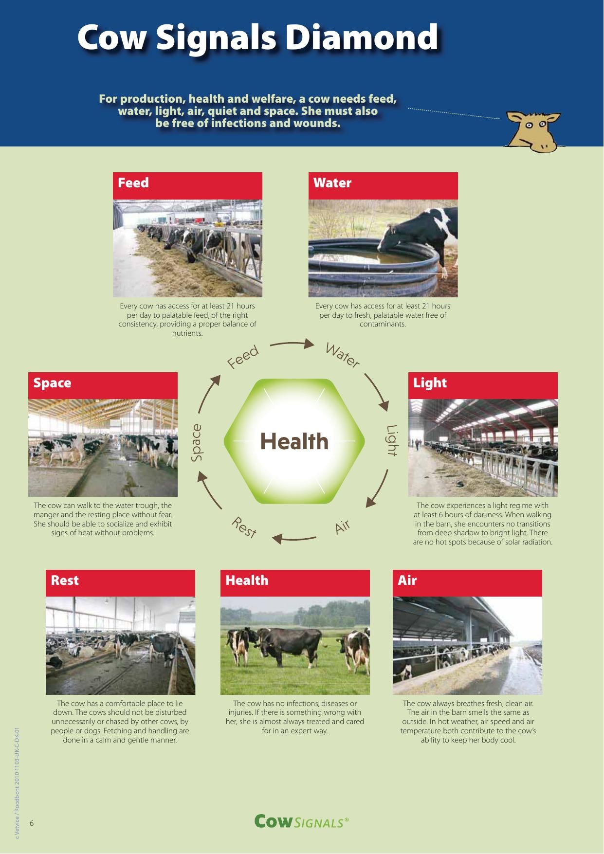 Cow Signals Checkbook Working On Health Production And Welfare
