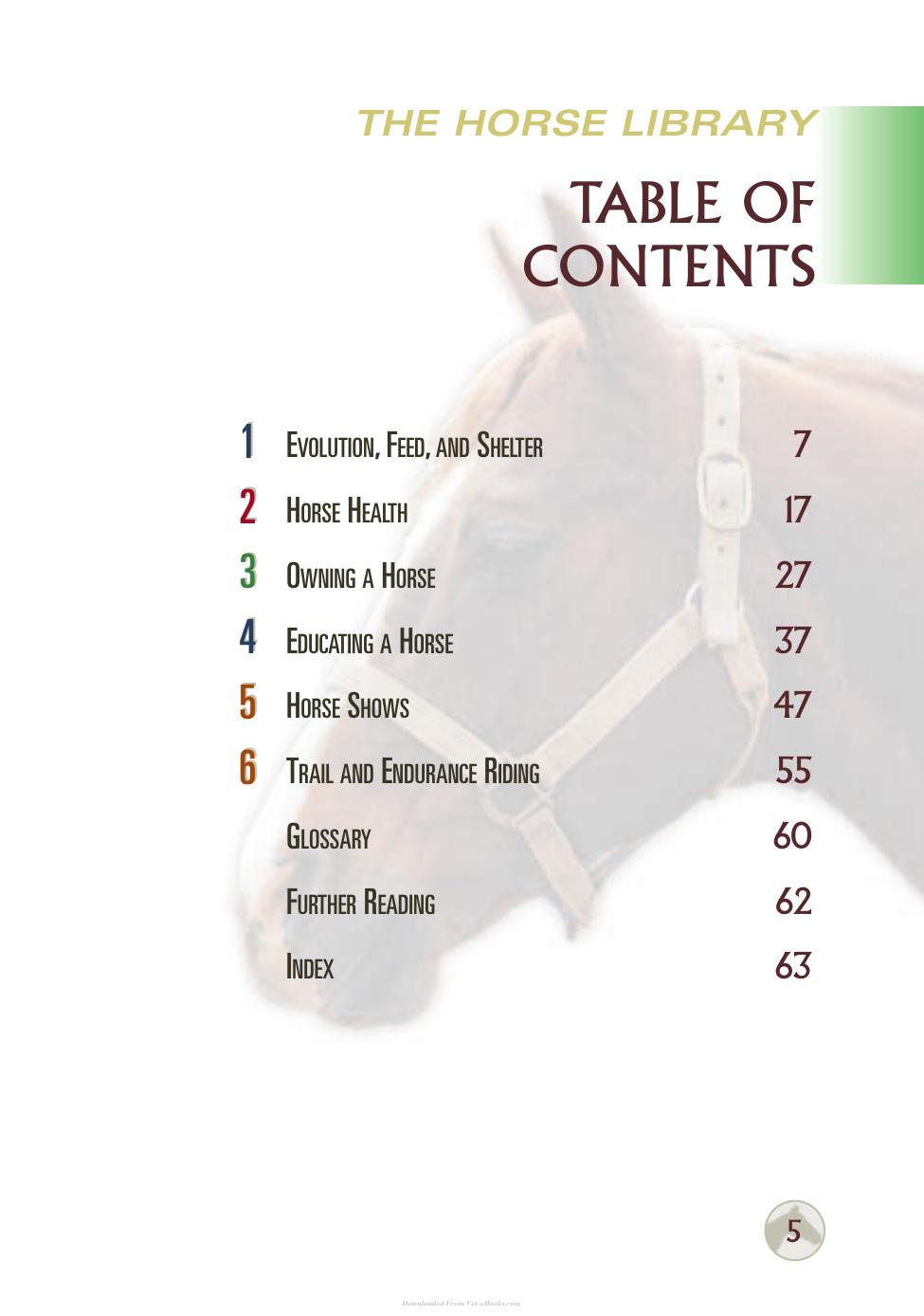 Horse Health And Care