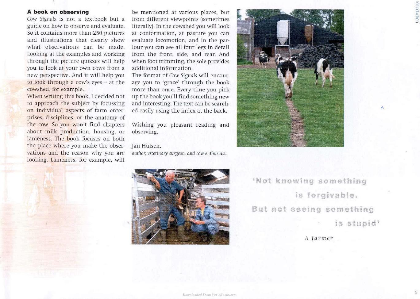 Cow Signals A Practical Guide For Dairy Farm Management