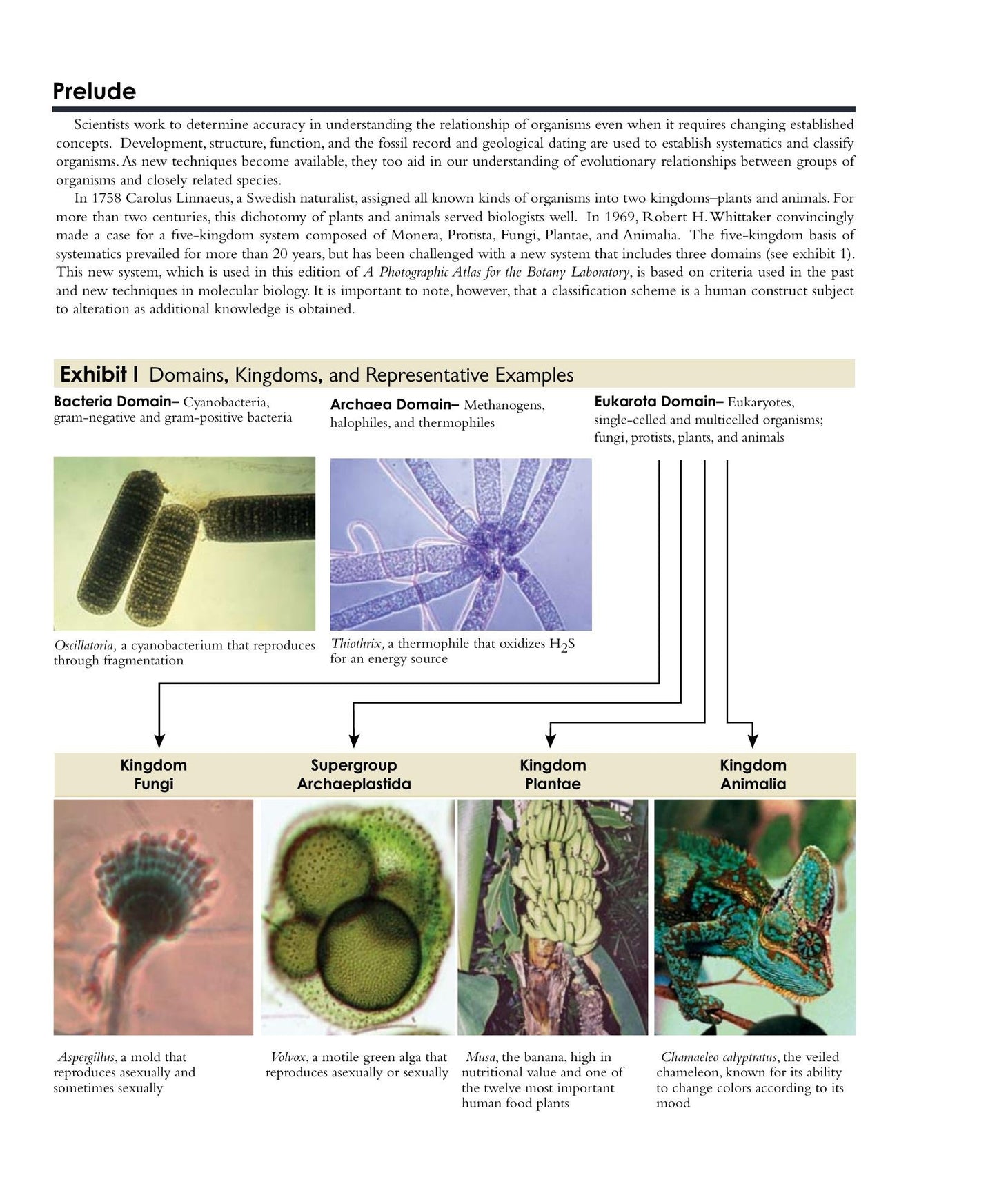 Look inside — page 6
