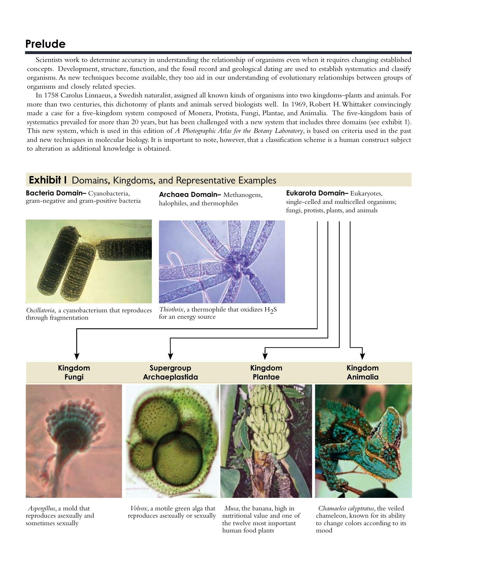 Look inside — page 6