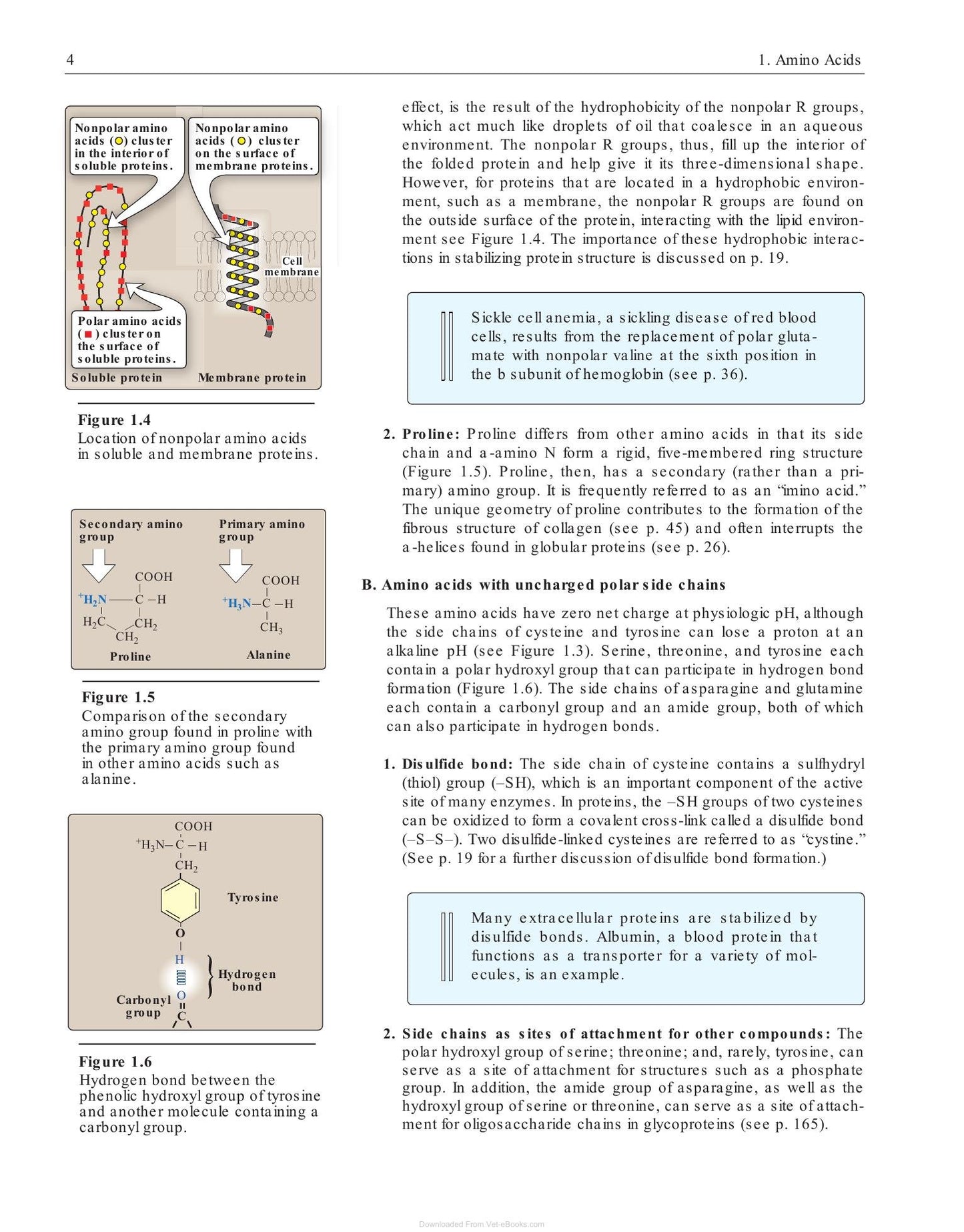 Look inside — page 6