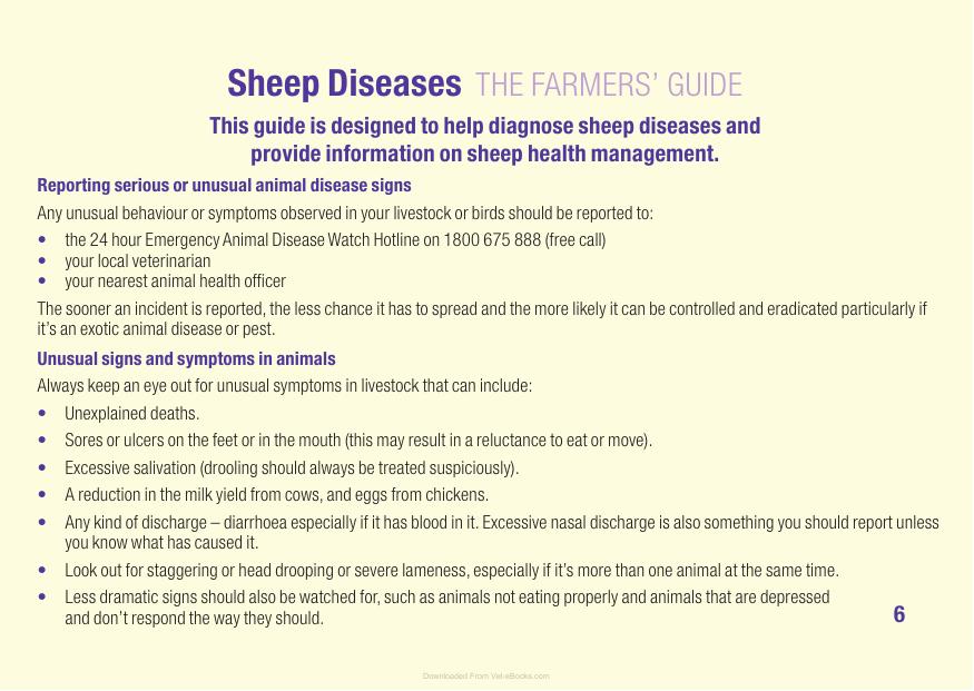 Sheep Diseases The Farmers Guide