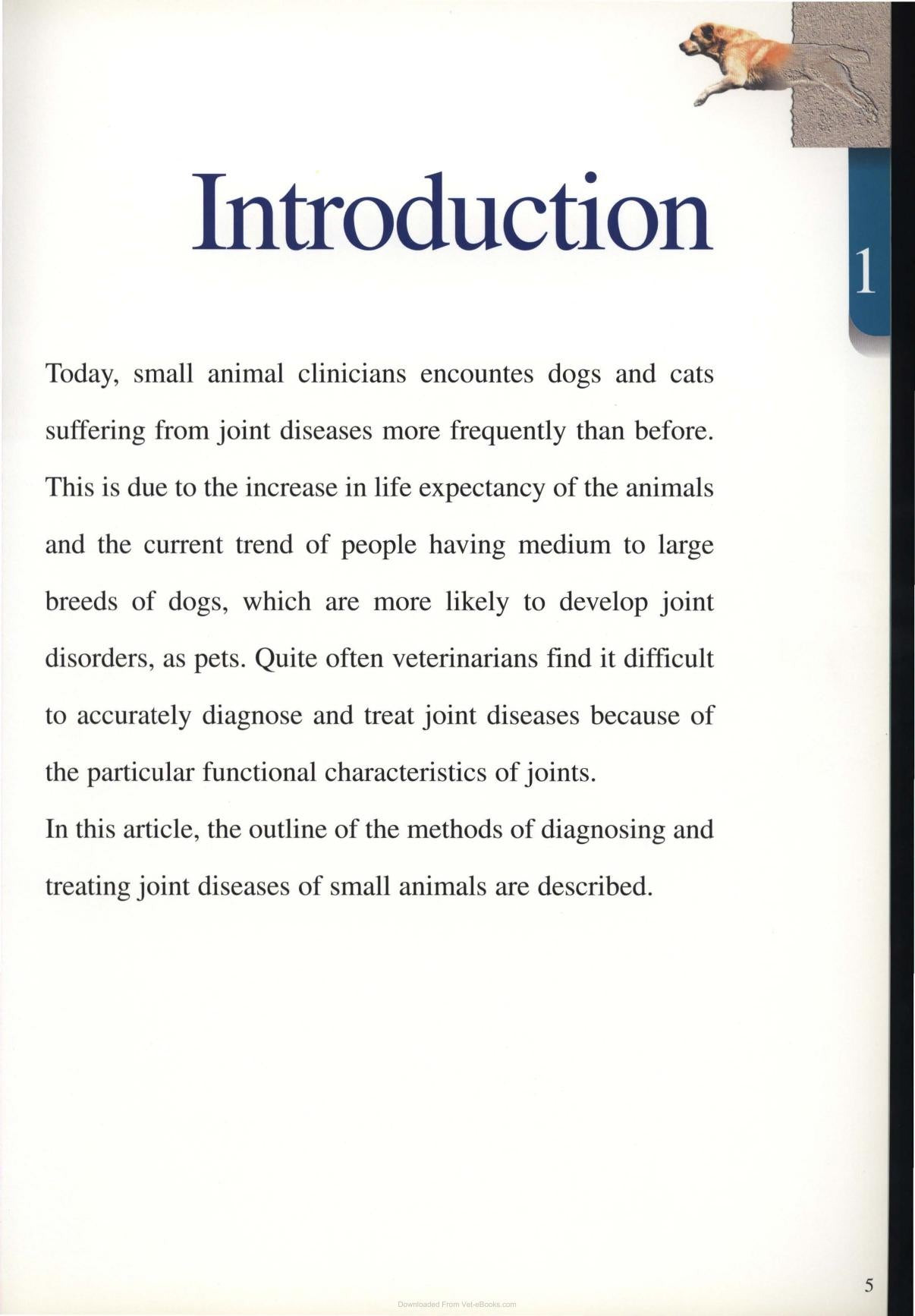 Diagnosis And Treatment Of Joint Disease Of Small Animals