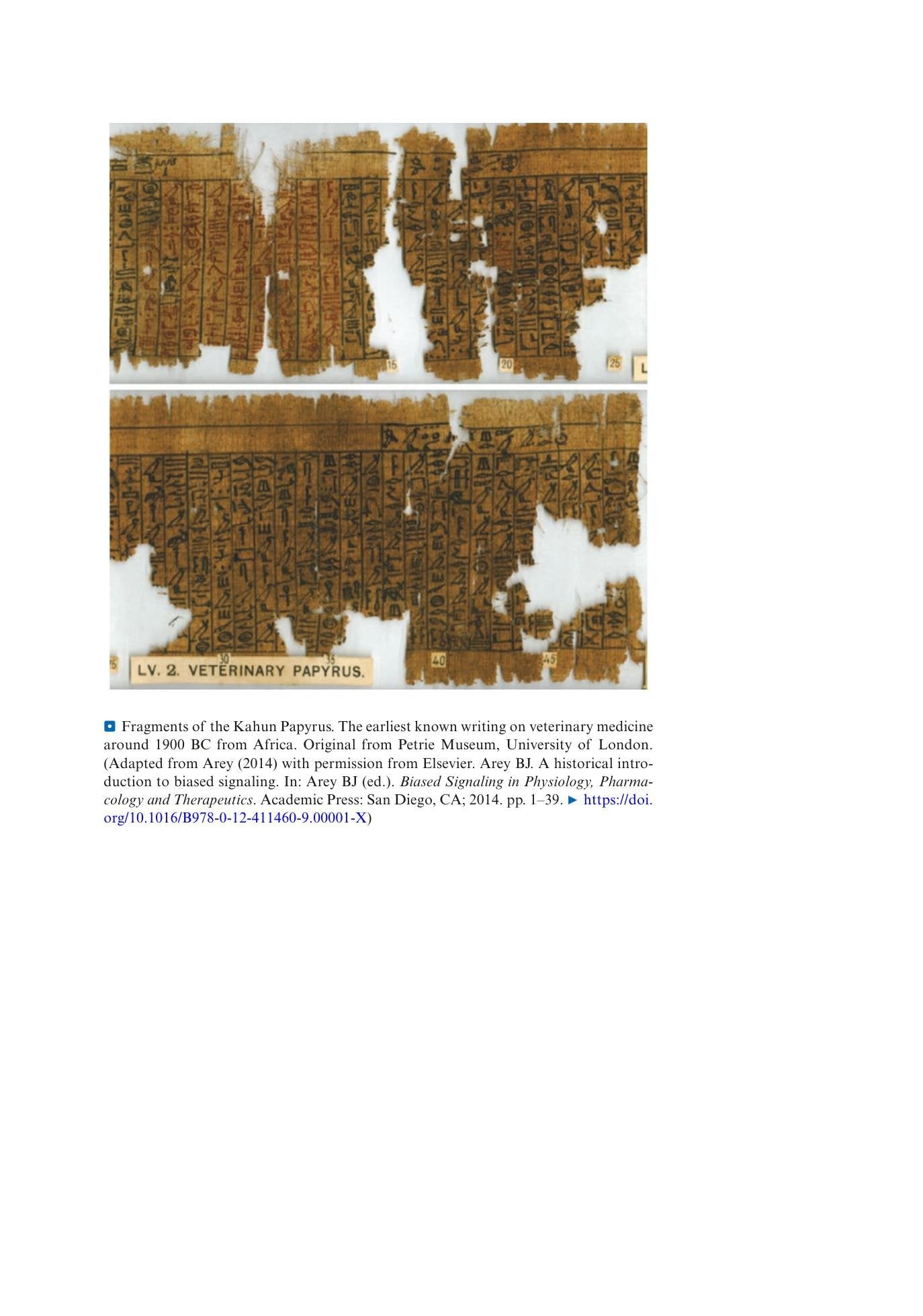 Look inside — page 7