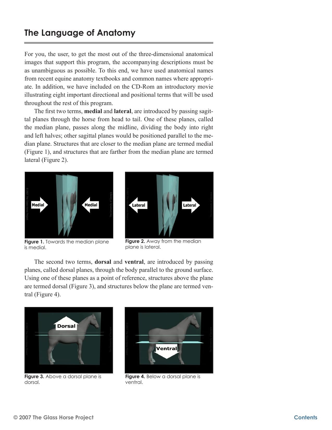 Look inside — page 7