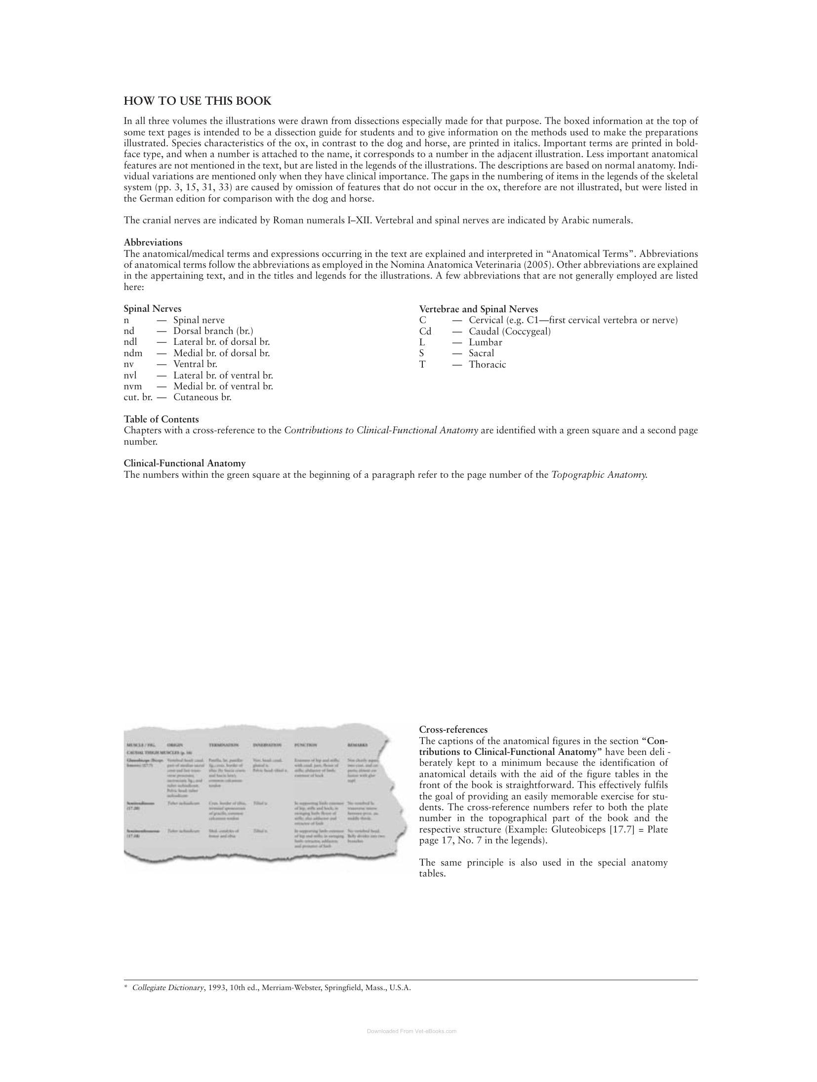 Look inside — page 7