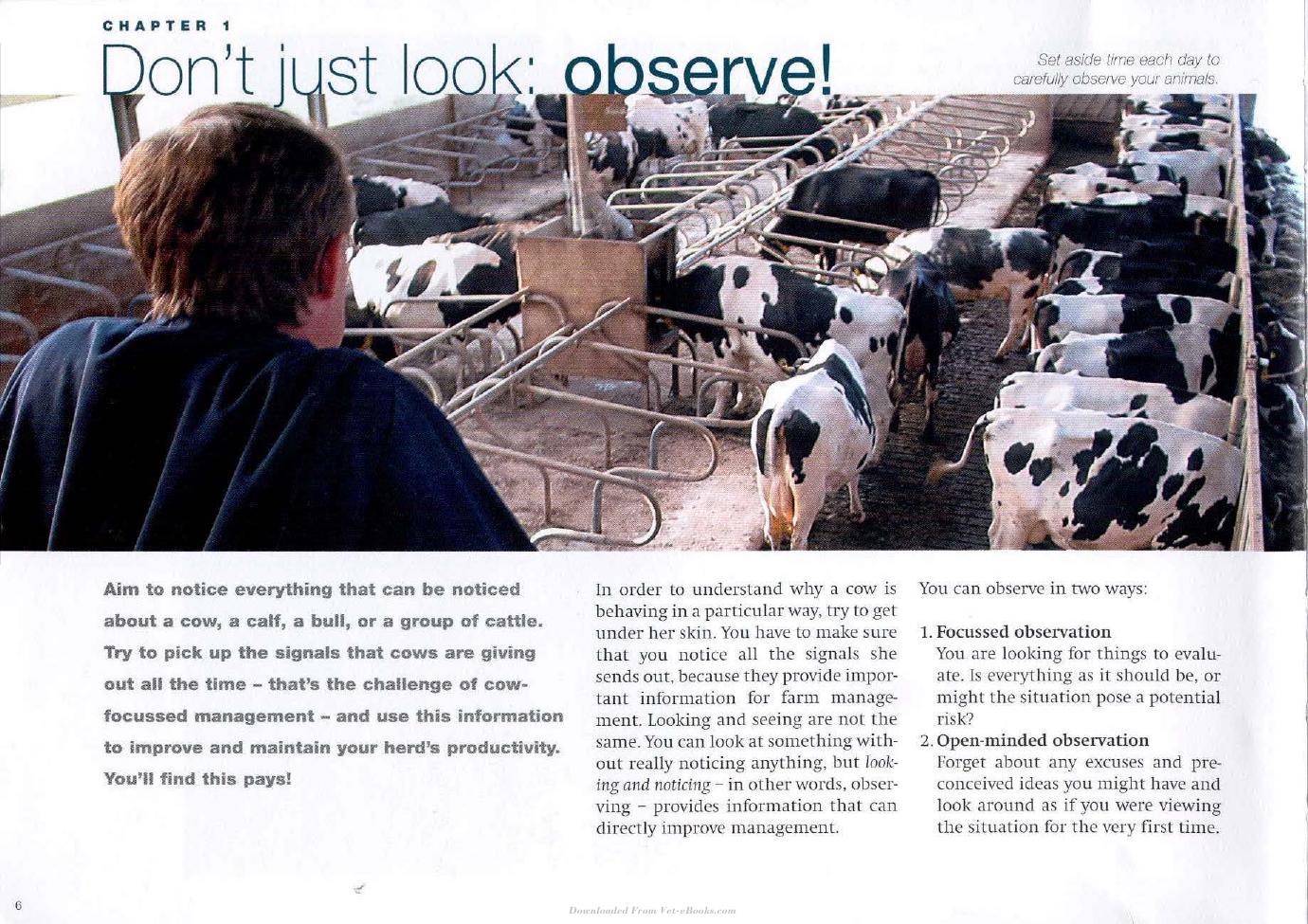 Cow Signals A Practical Guide For Dairy Farm Management