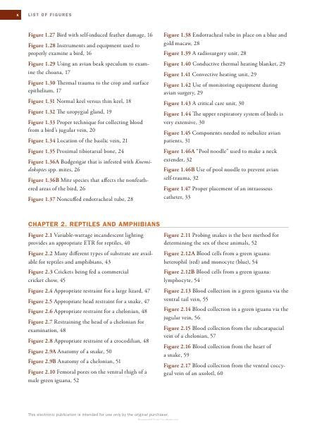 Look inside — page 7