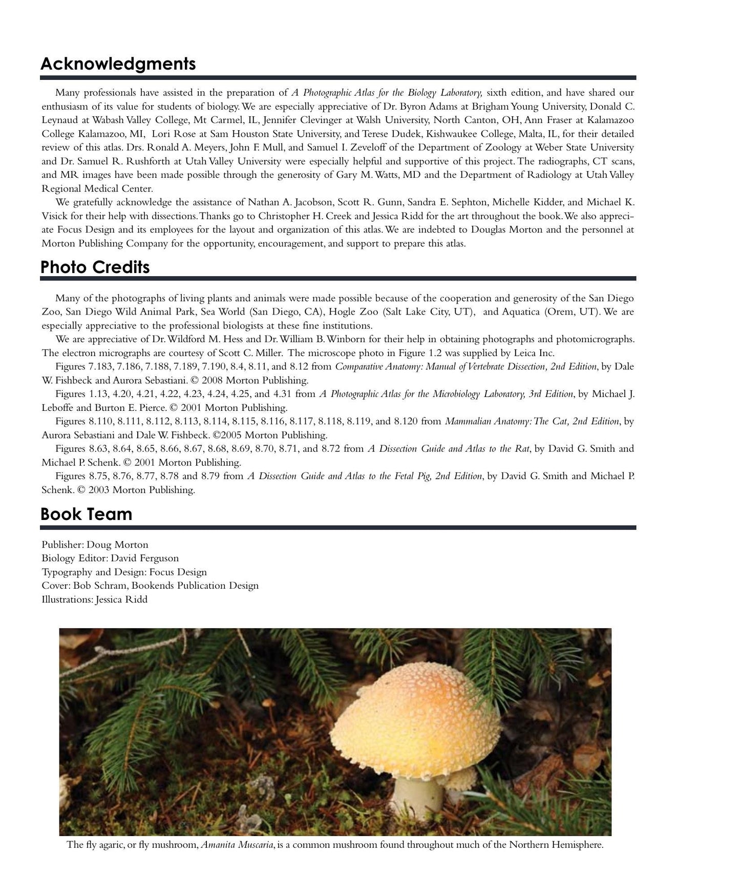 Look inside — page 8