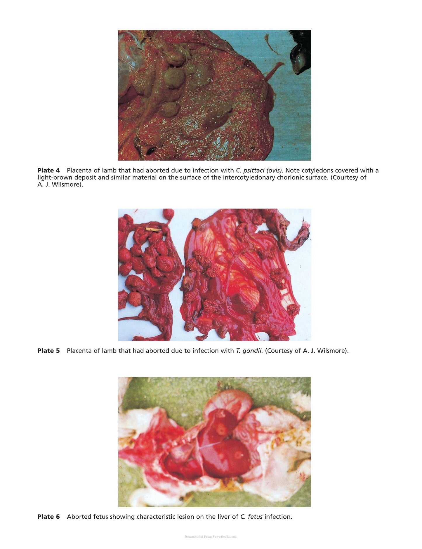 Look inside — page 8