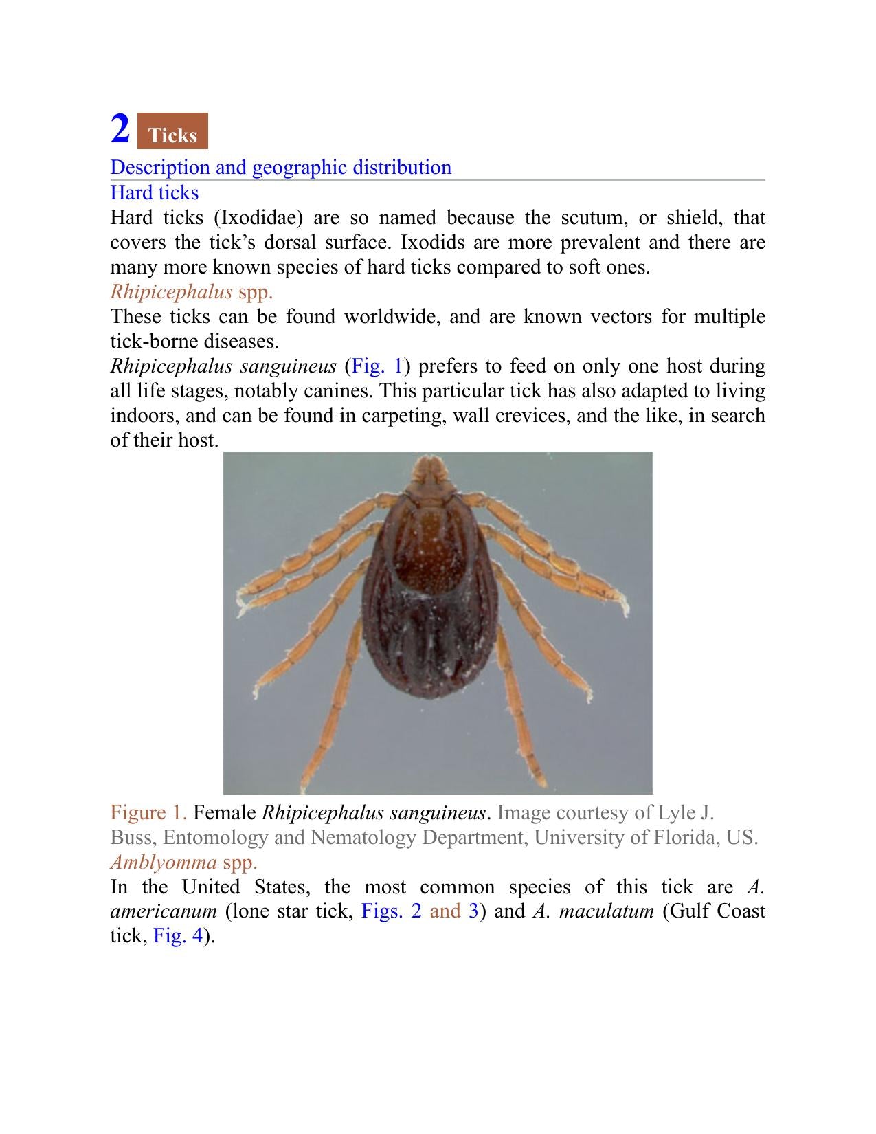 Look inside — page 8