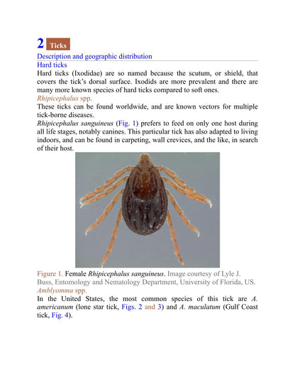 Look inside — page 8