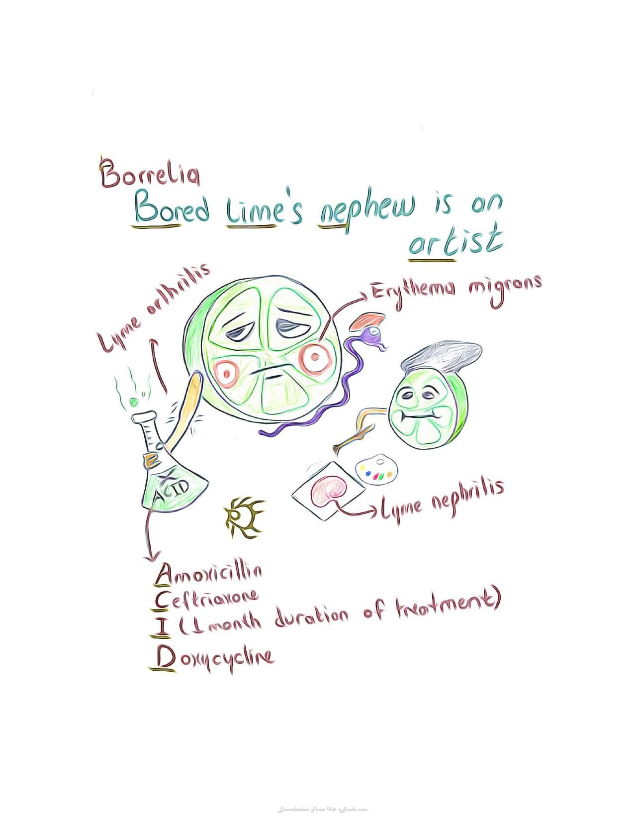 Small Animal Infectious Diseases Mnemonic Cartoons