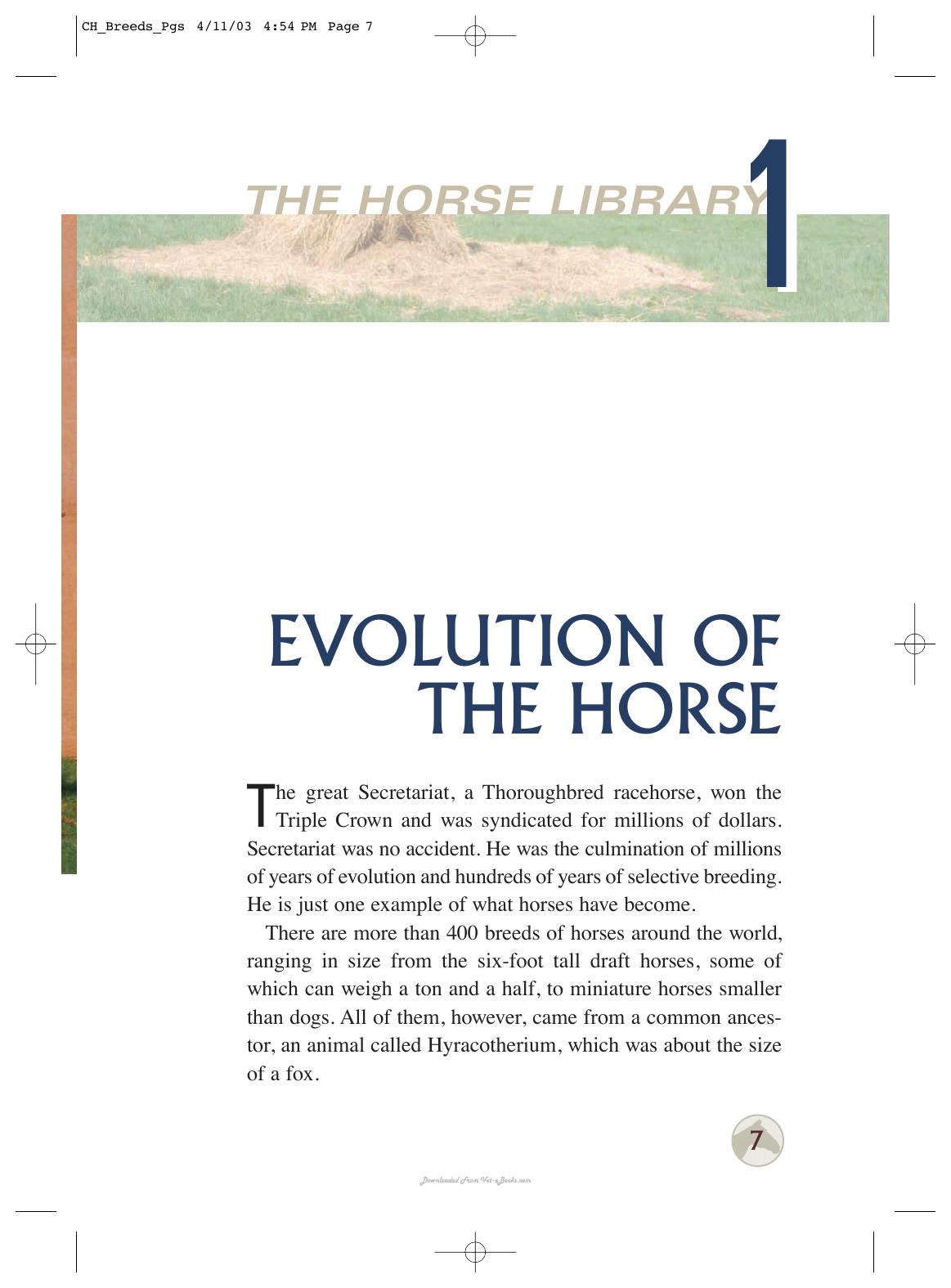 Horse Breeds Of The World