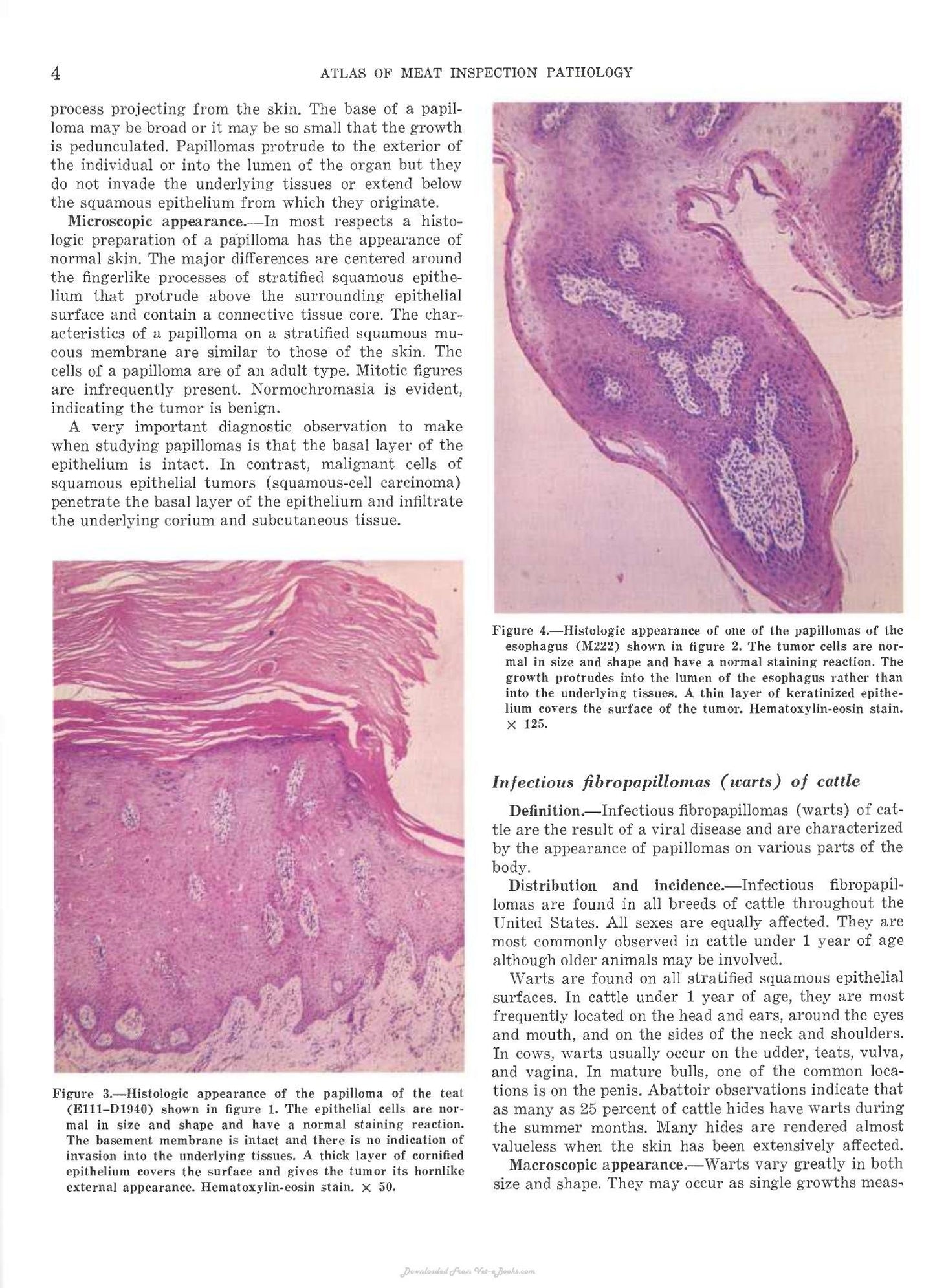 Look inside — page 8