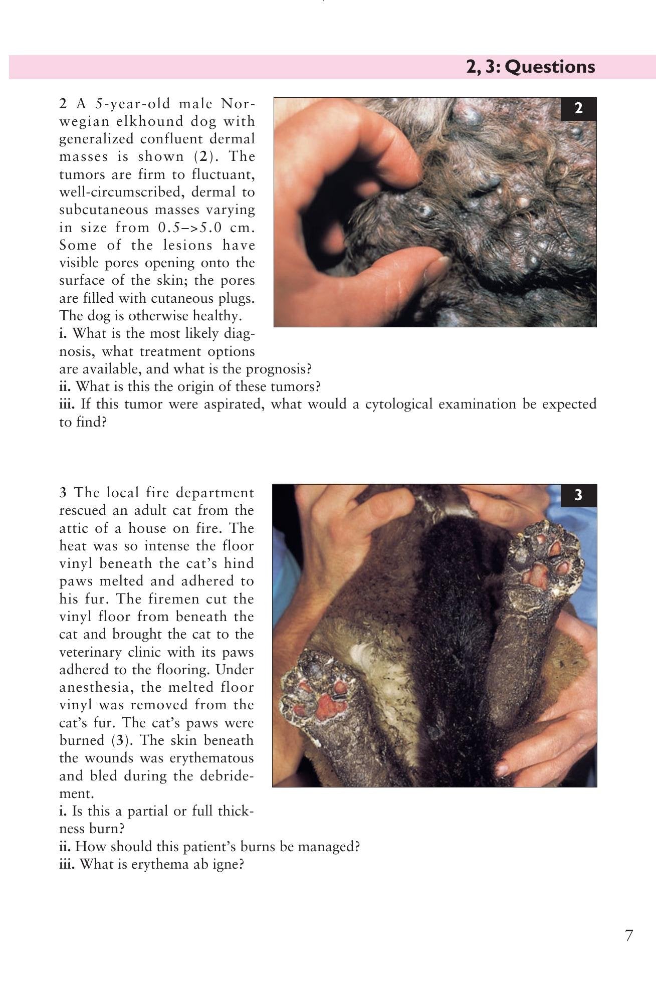Look inside — page 8