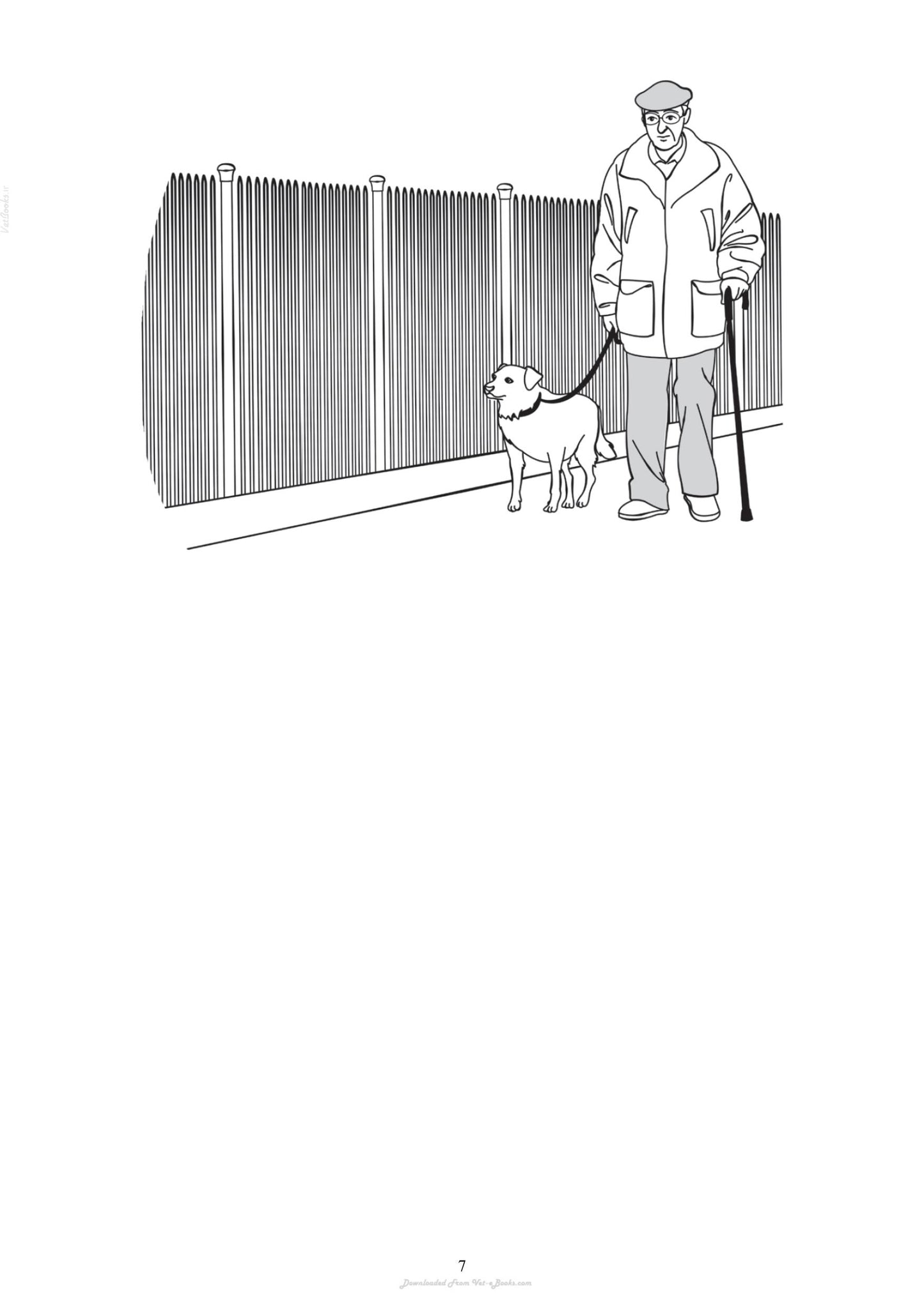The Absolute Beginners Guide To Living With Your Dog