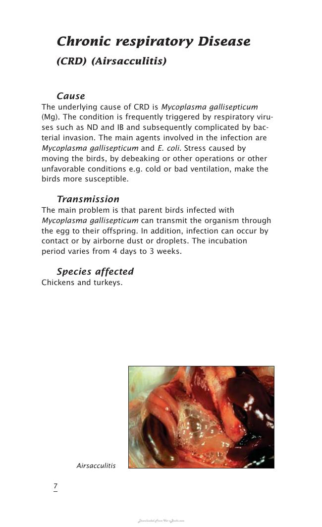 Important Poultry Diseases