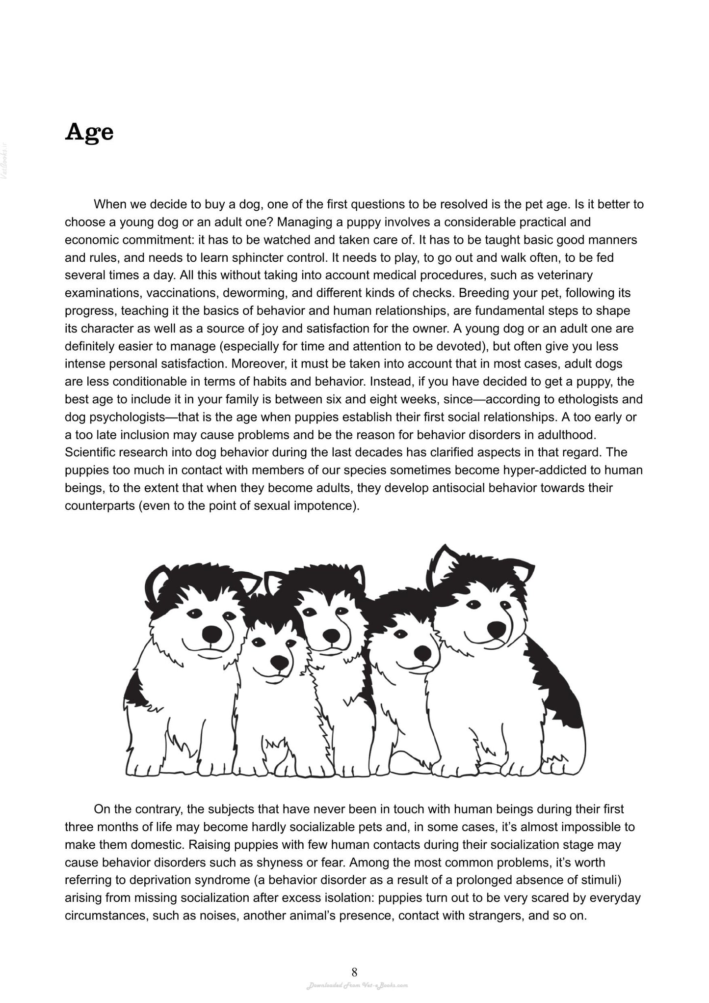The Absolute Beginners Guide To Living With Your Dog