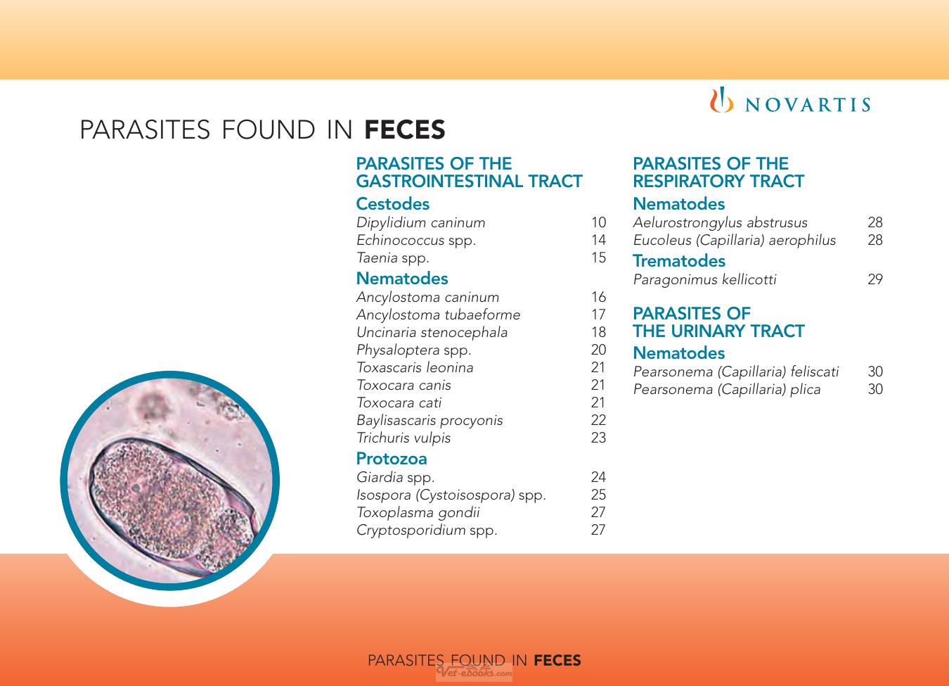Internal Parasites Of Dogs And Cats Diagnostic Manual