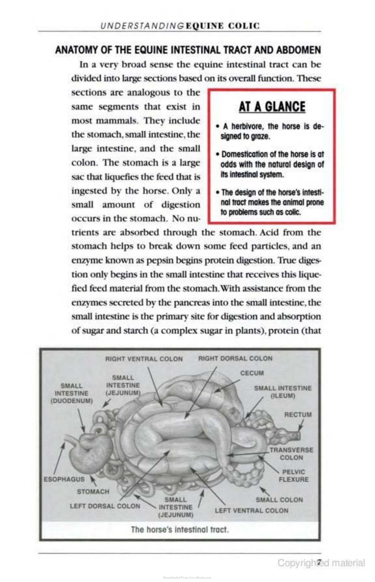 Look inside — page 9