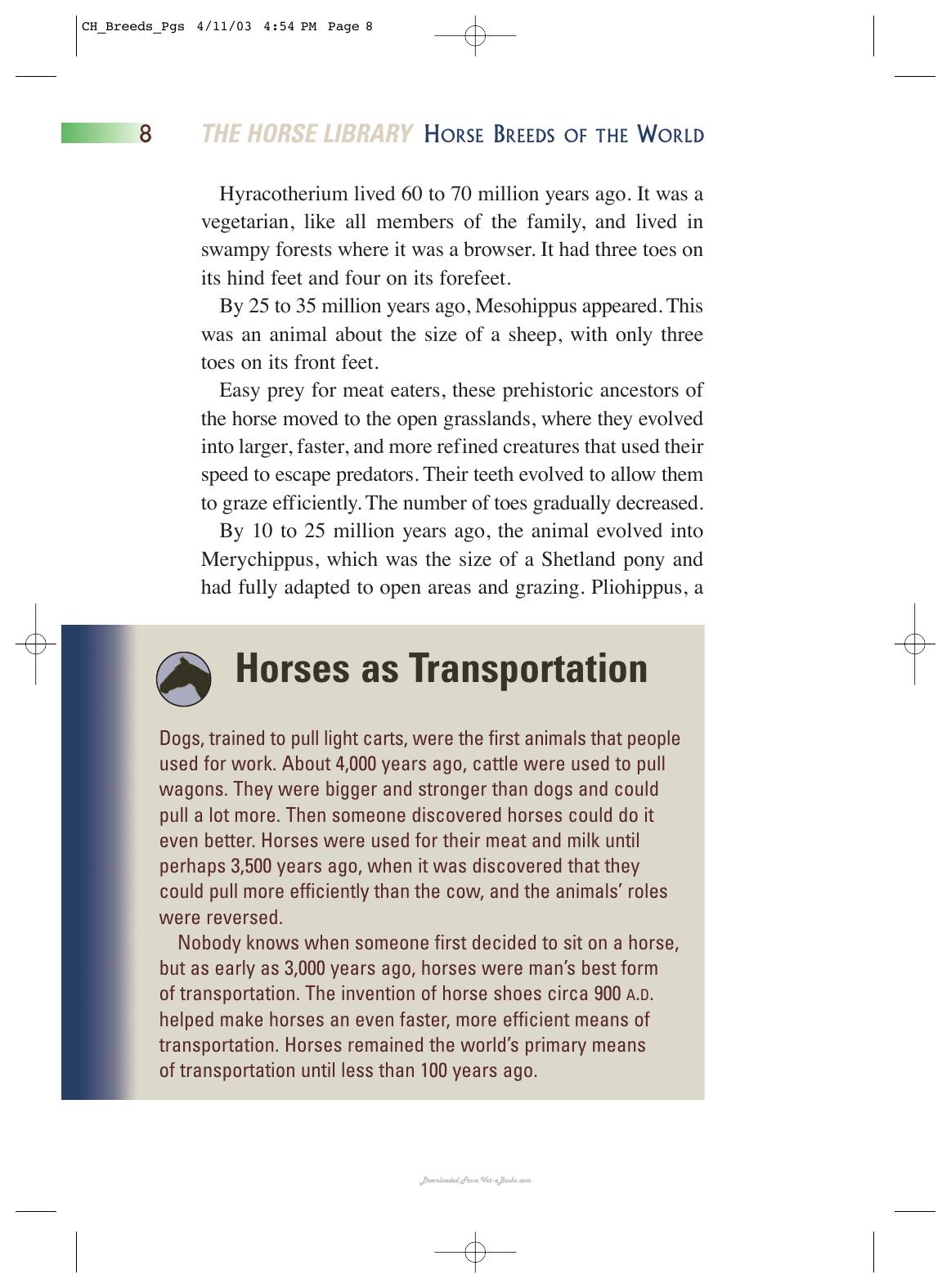 Horse Breeds Of The World