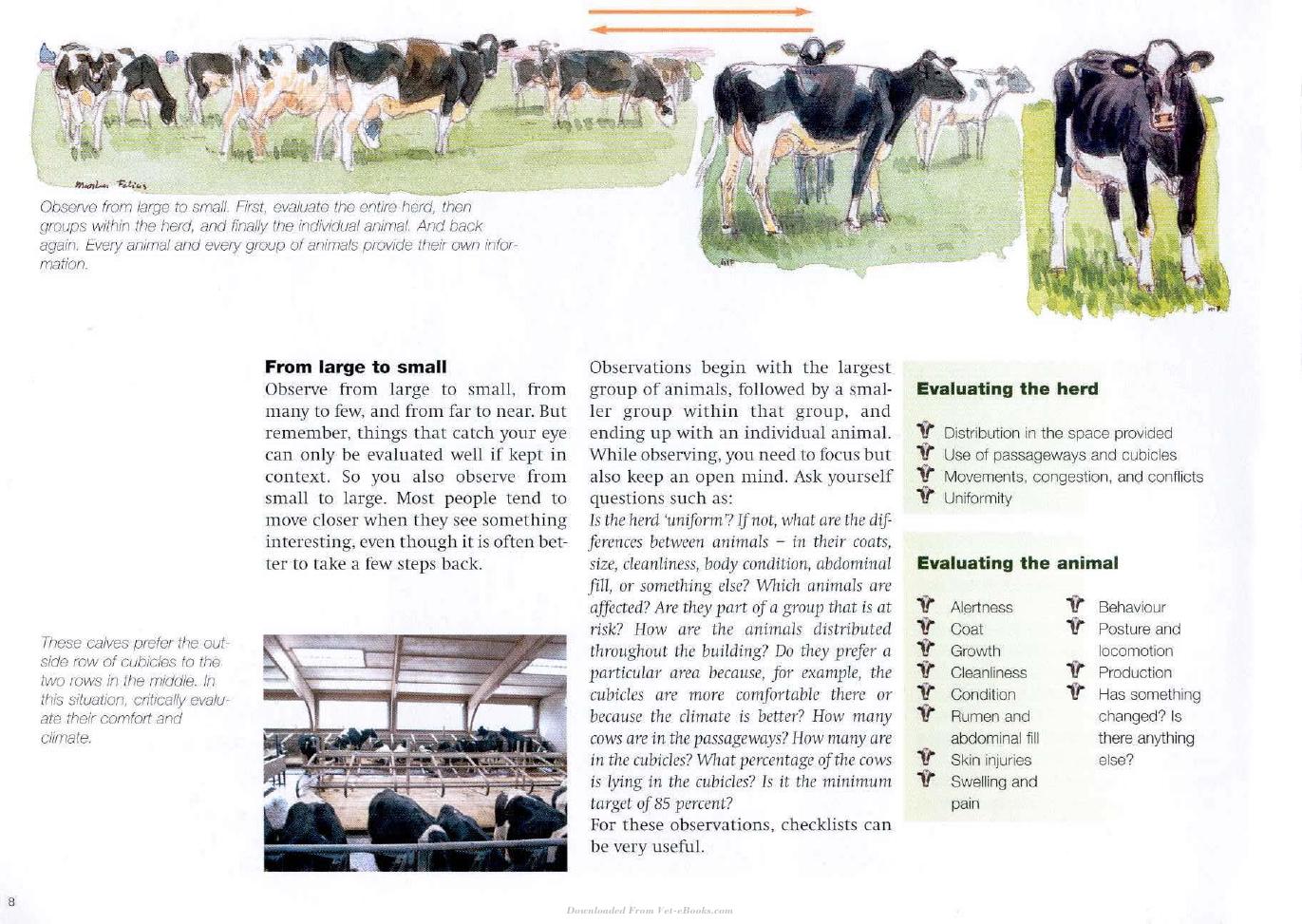 Cow Signals A Practical Guide For Dairy Farm Management