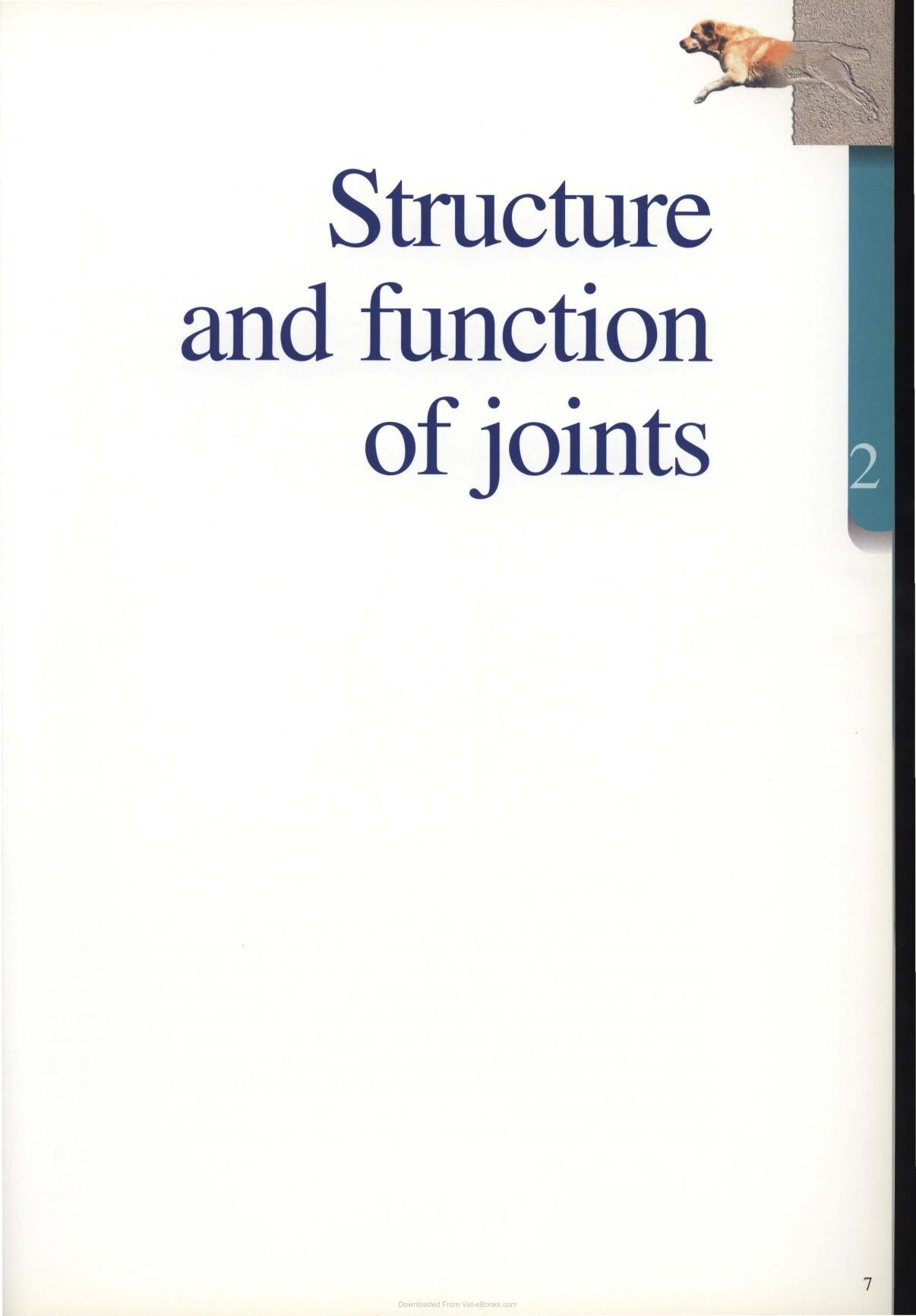 Diagnosis And Treatment Of Joint Disease Of Small Animals