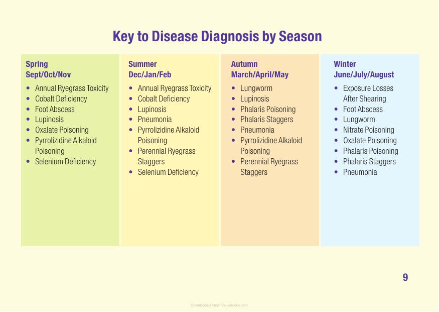 Sheep Diseases The Farmers Guide
