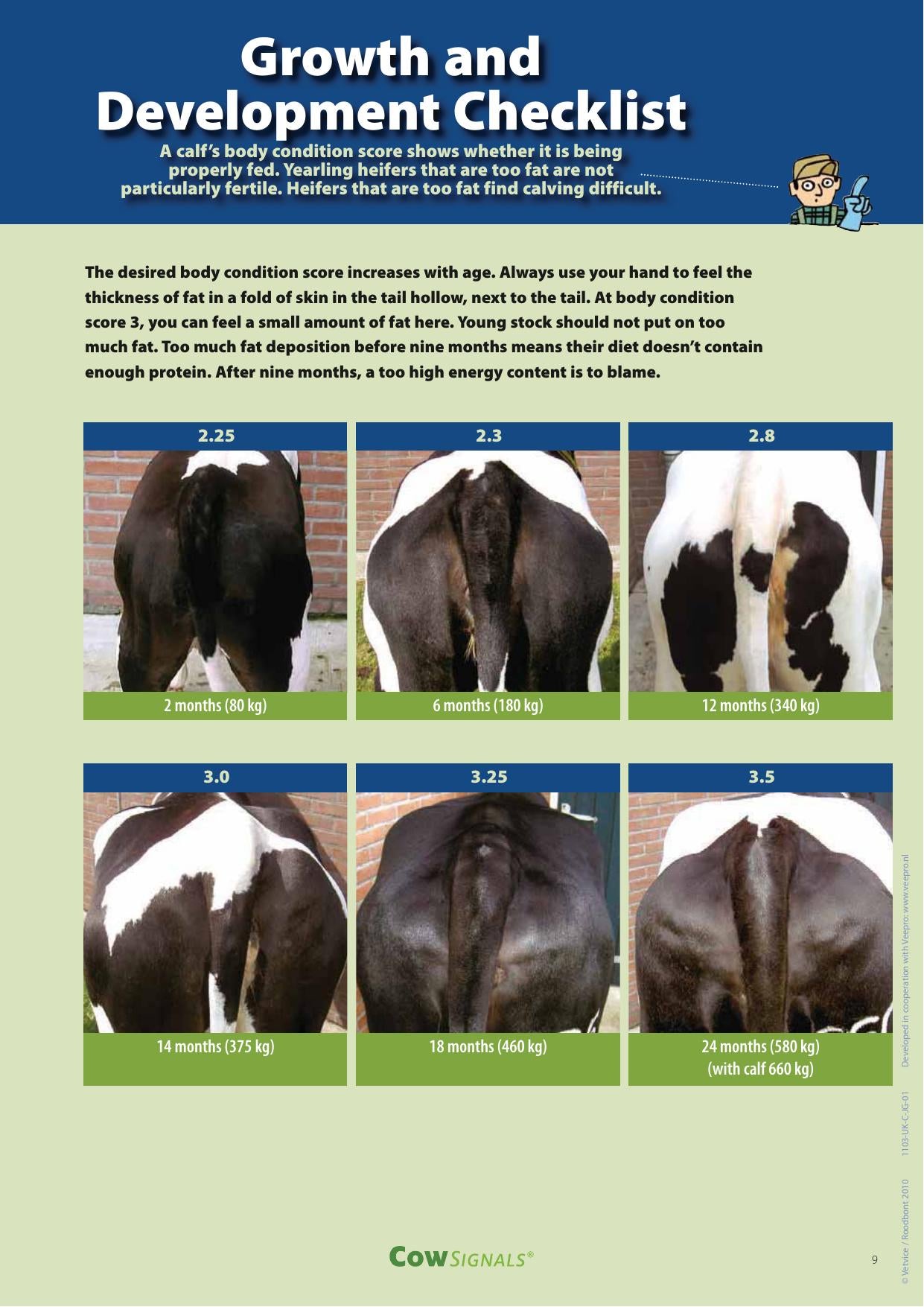 Cow Signals Checkbook Working On Health Production And Welfare
