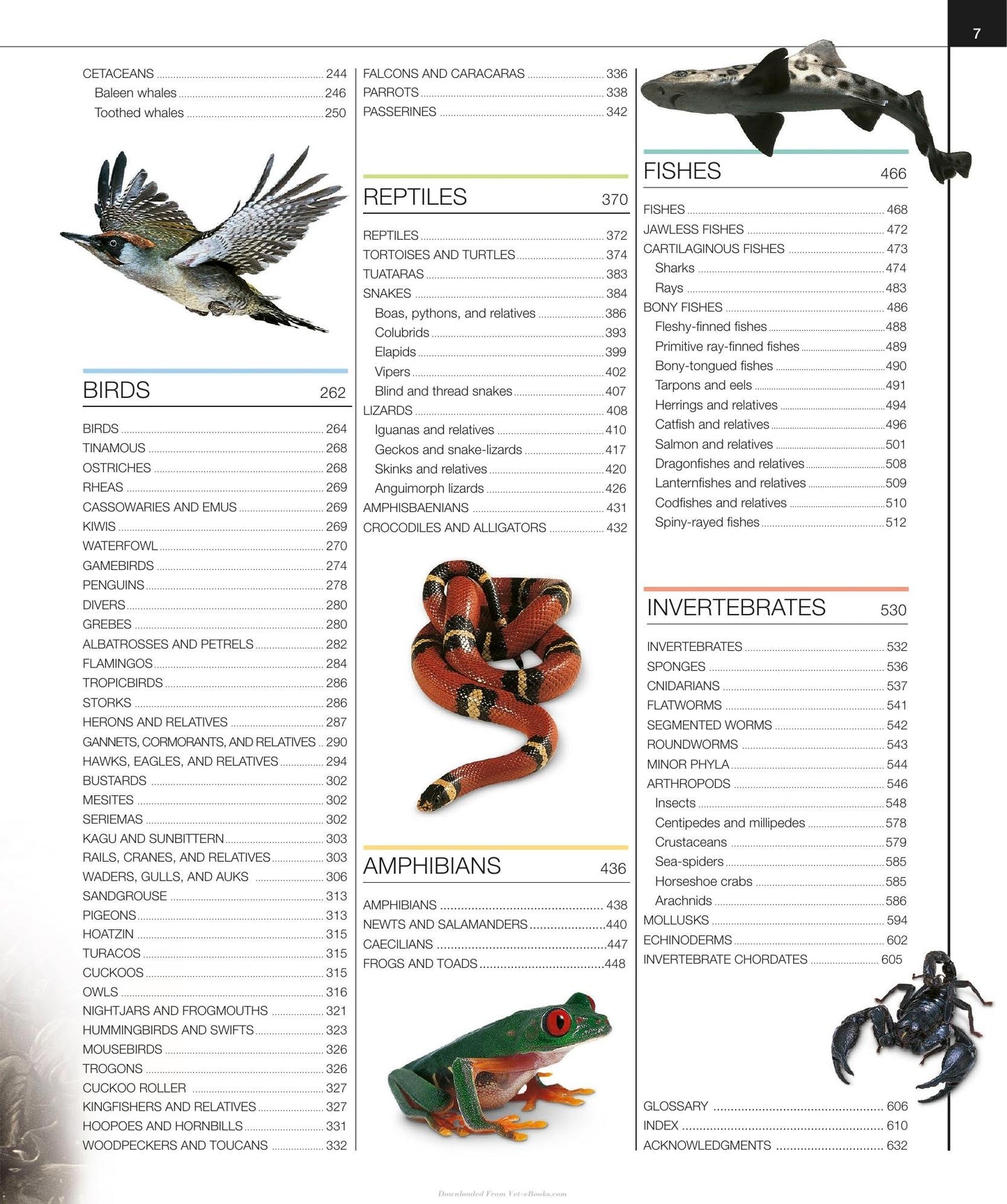 Look inside — page 9