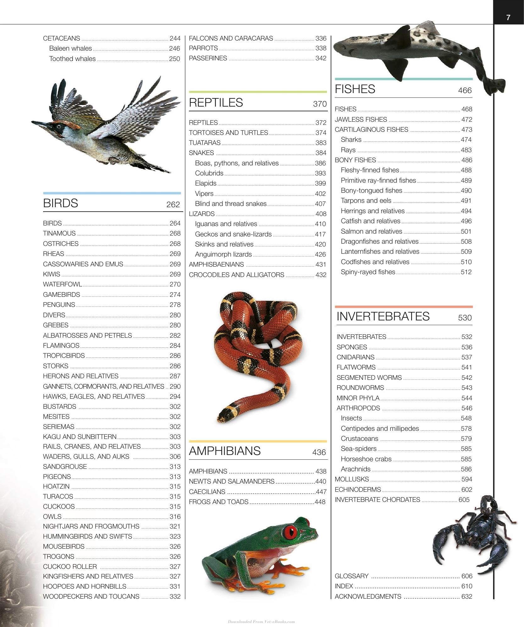 Look inside — page 9