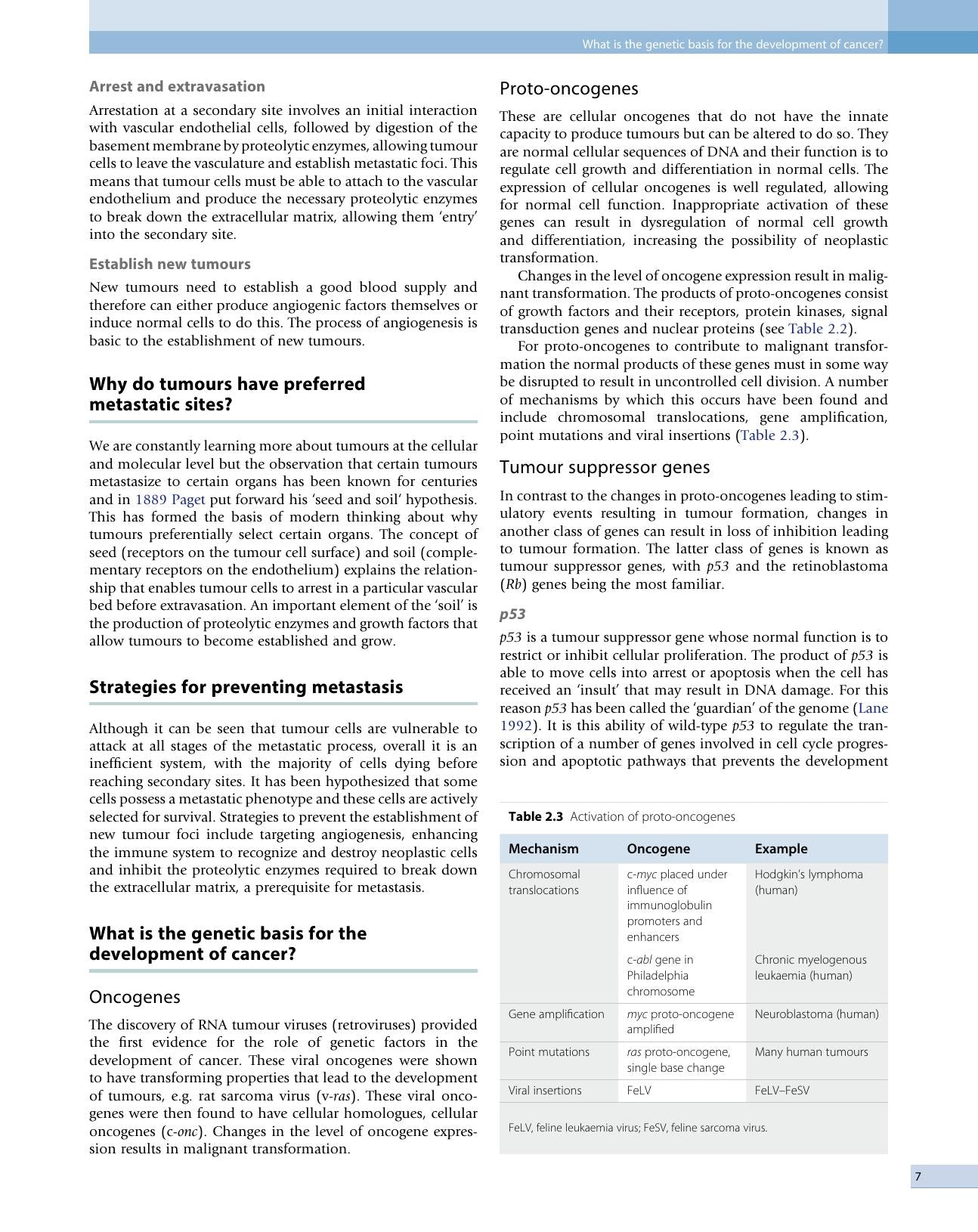 Small Animal Oncology
