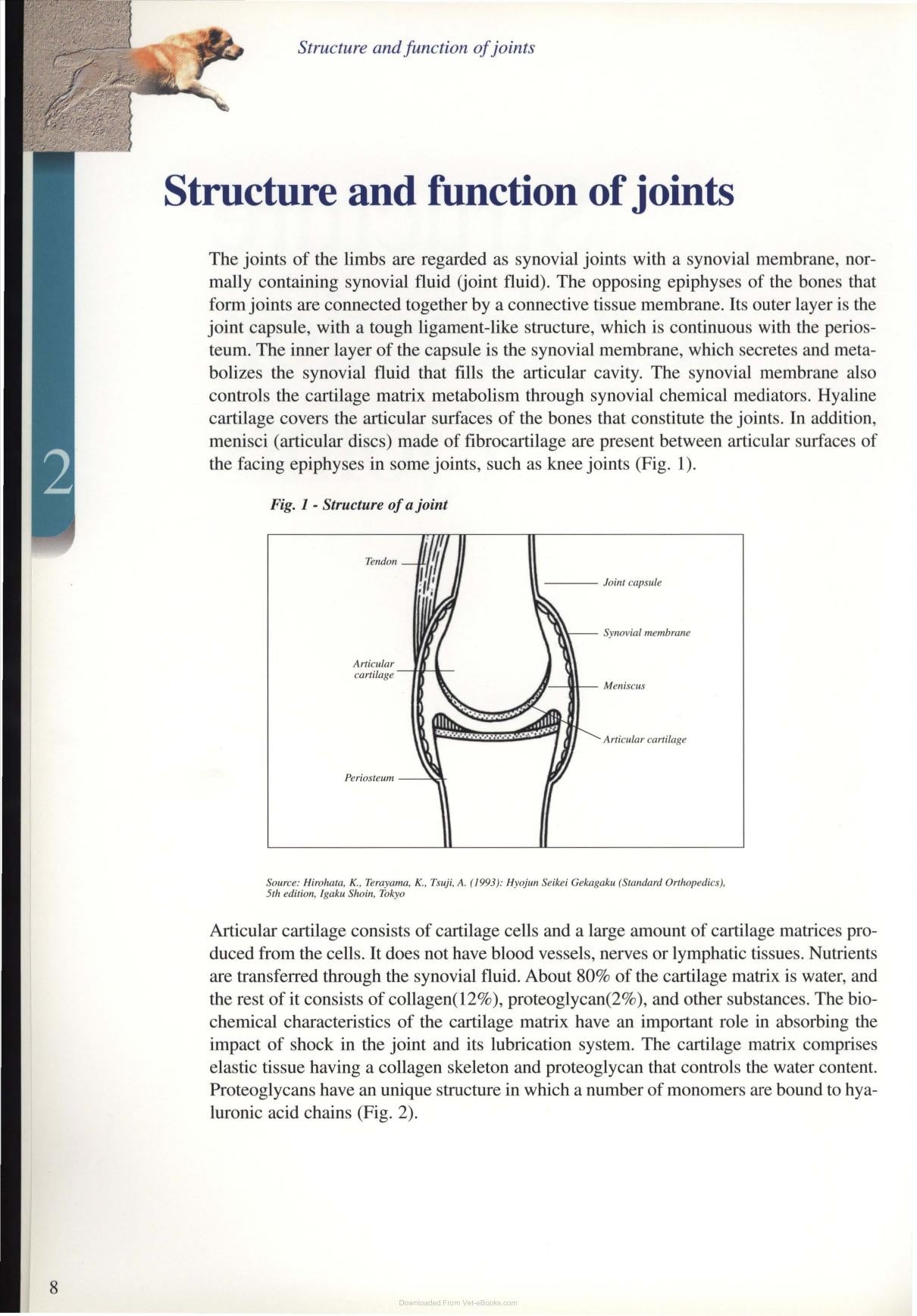 Diagnosis And Treatment Of Joint Disease Of Small Animals